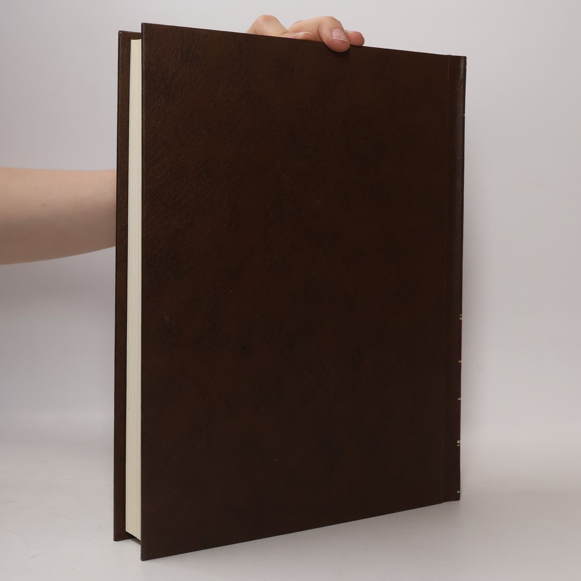 Kolektiv autorů The New Encyclopædia Britannica L-Z