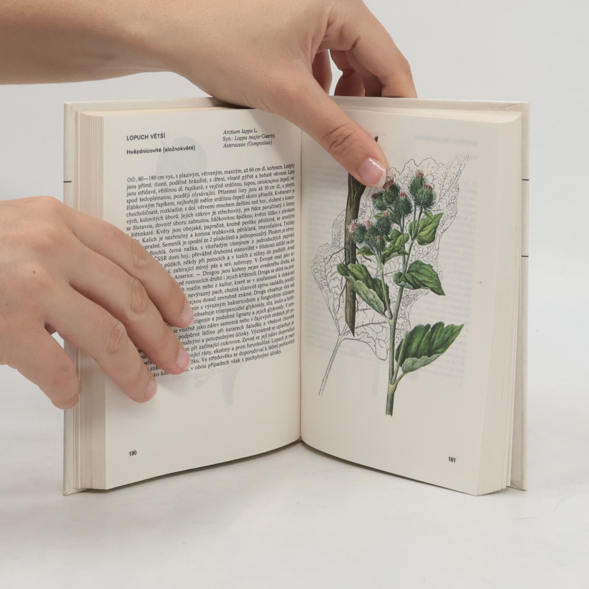 Václav Jirásek Kapesní atlas léčivých rostlin