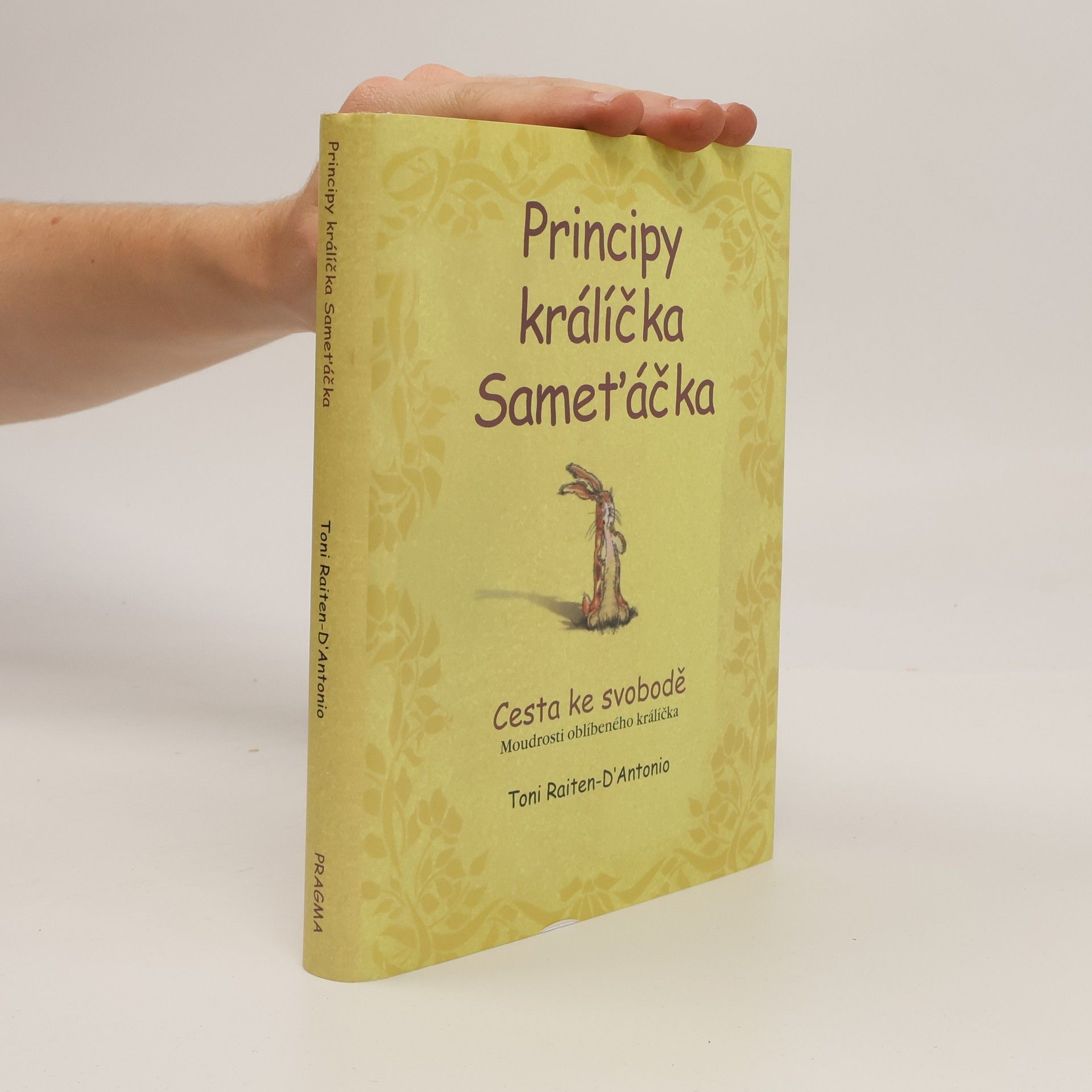 Toni Raiten D. Antonio Principy králíčka Sameťáčka