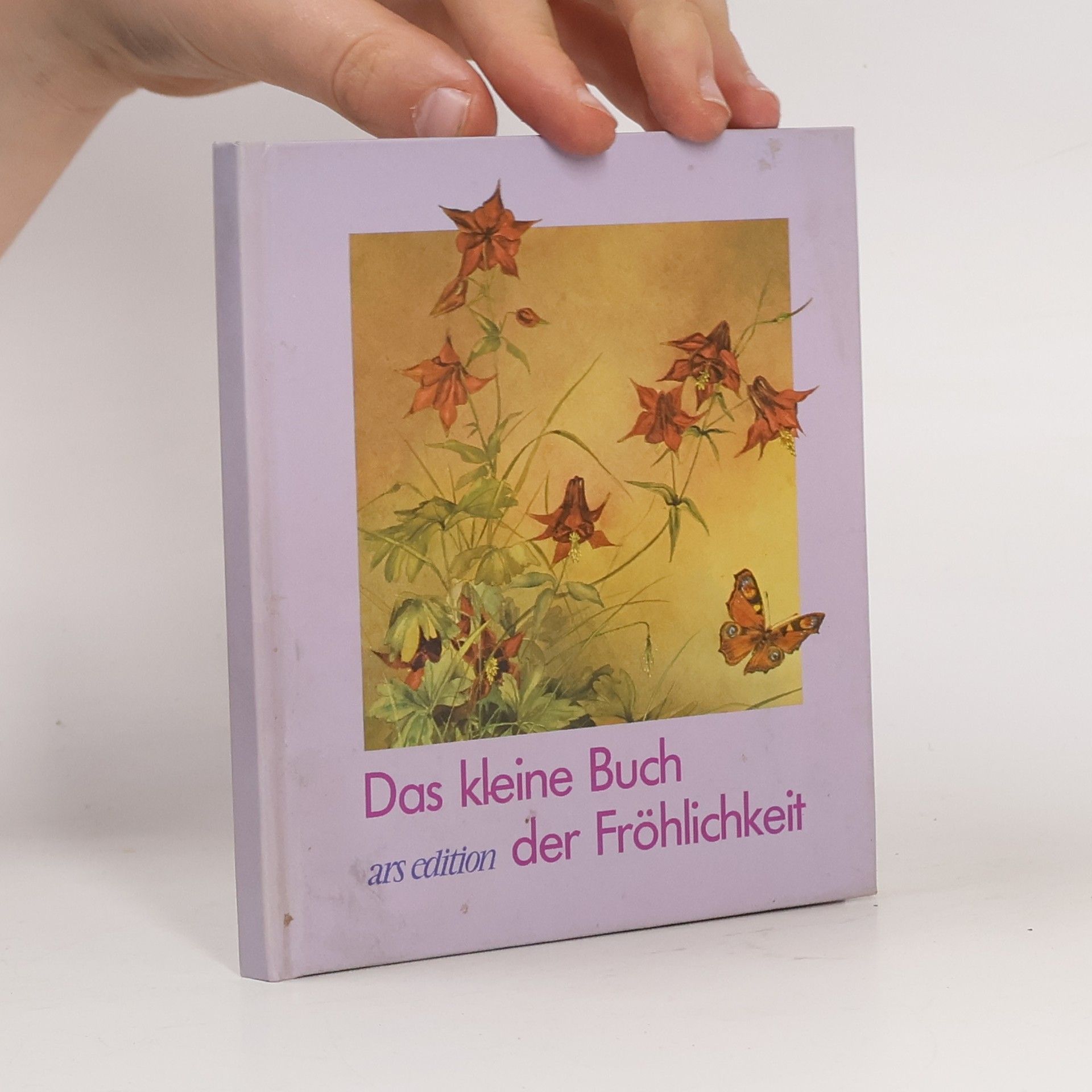 Maria Nels Das kleine Buch der Fröhlichkeit