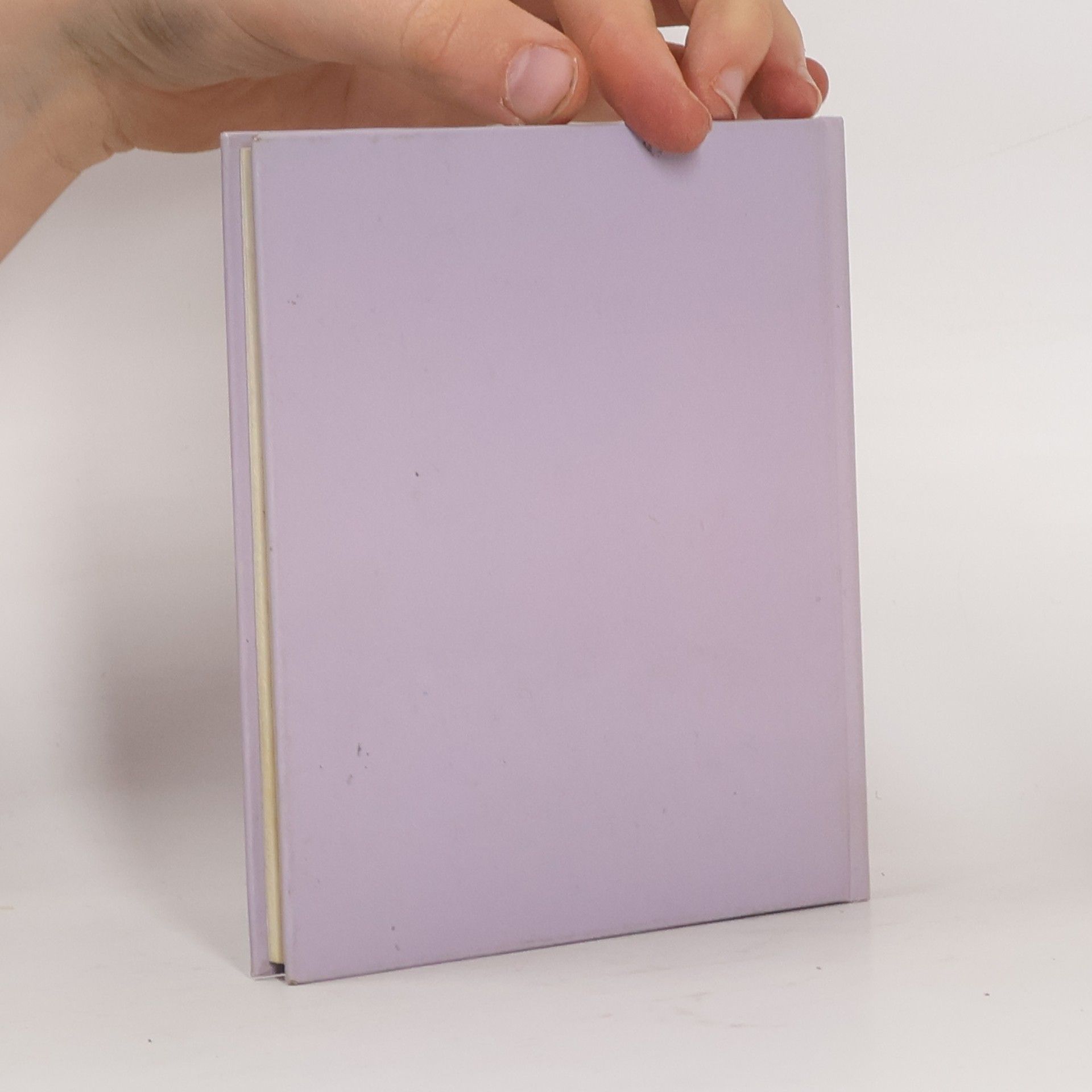 Elly Christoffel Das kleine Buch der Fröhlichkeit