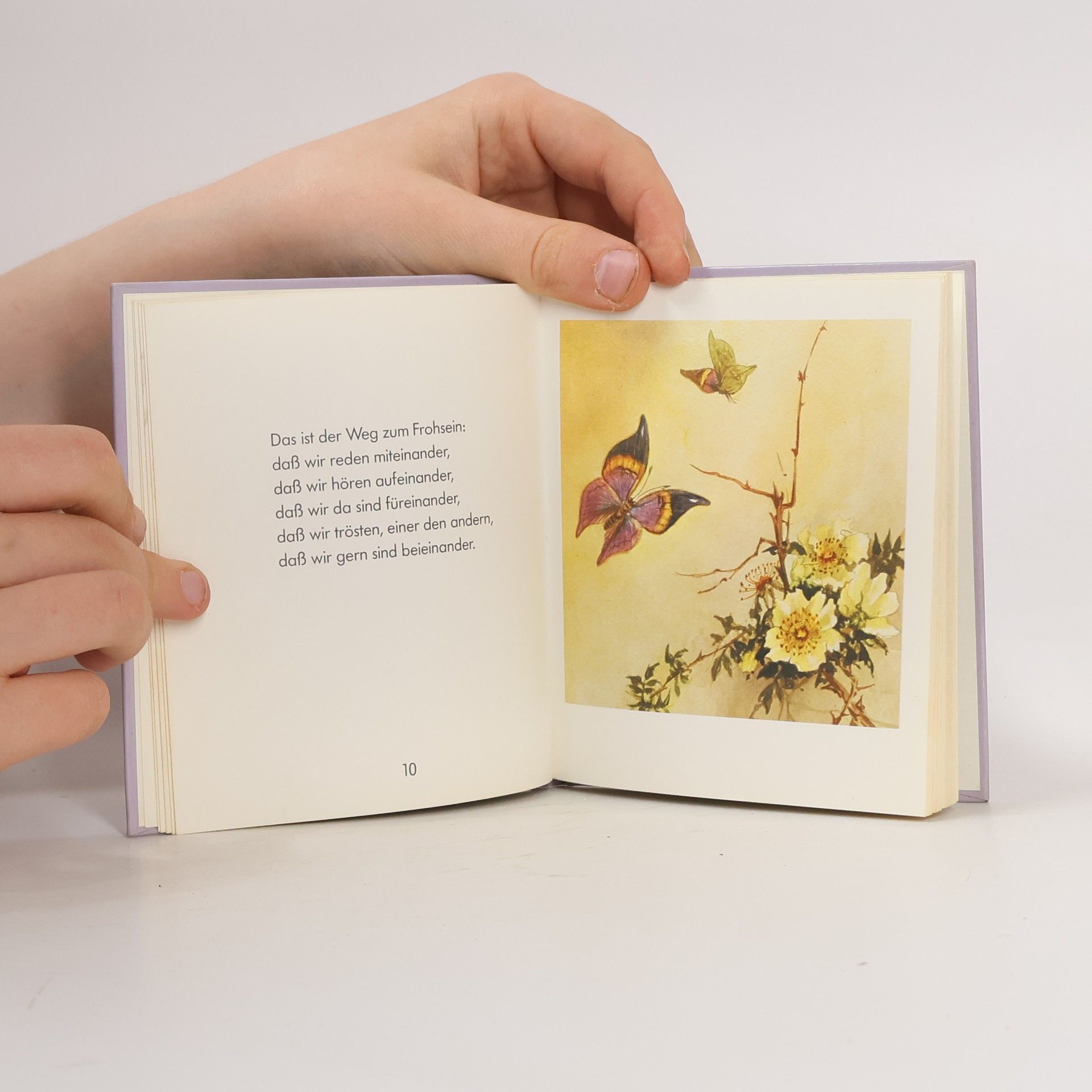 Elly Christoffel Das kleine Buch der Fröhlichkeit