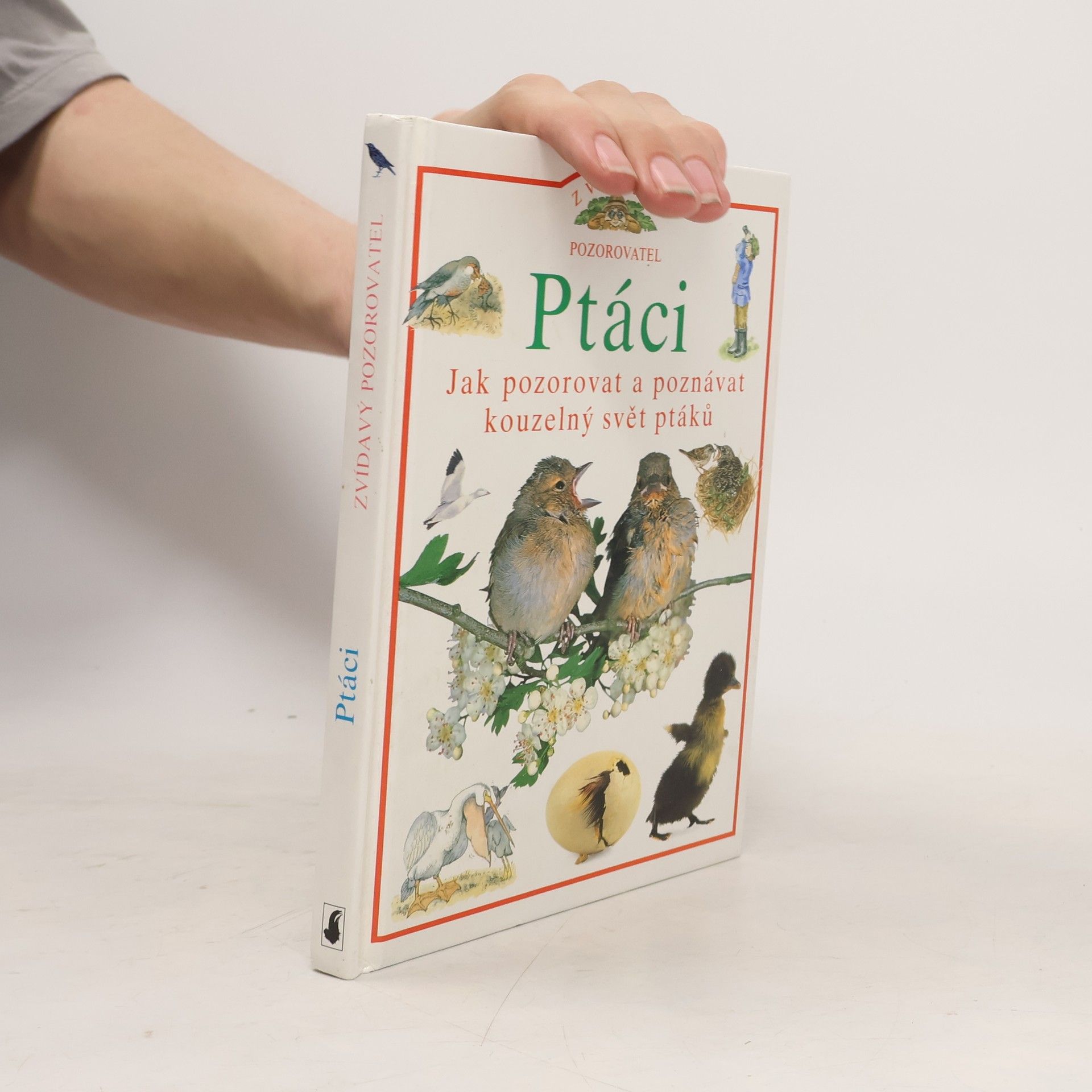 Ptáci: Jak pozorovat a poznávat kouzelný svět ptáků