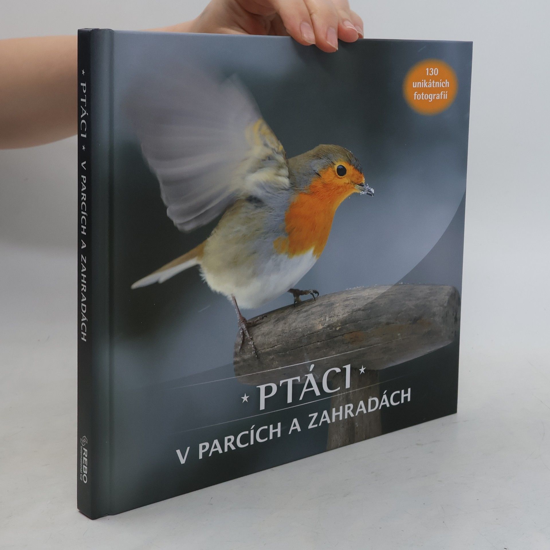 Arno Ten Hoeve Ptáci v parcích a zahradách