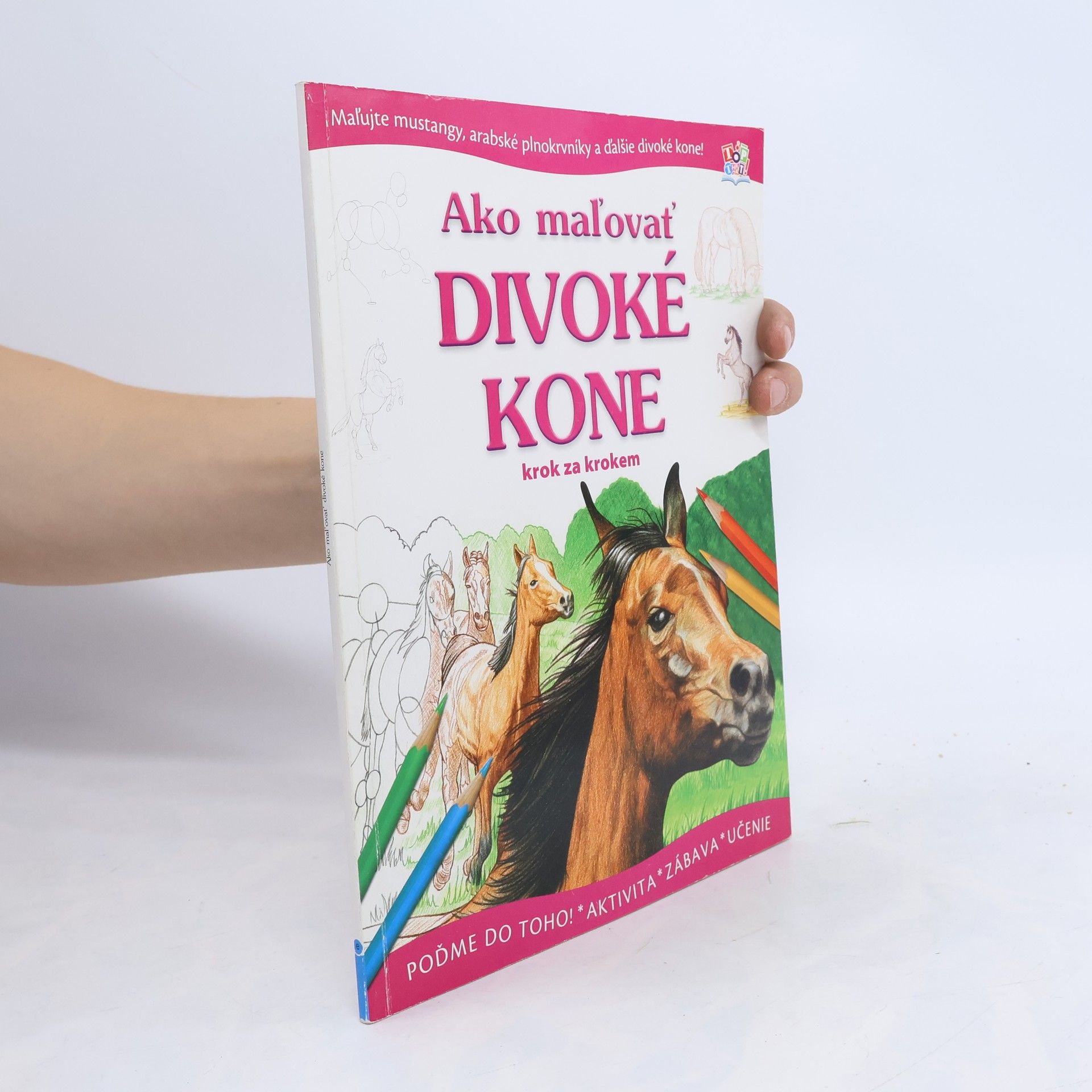 Auteurscollectief Ako maľovať divoké kone