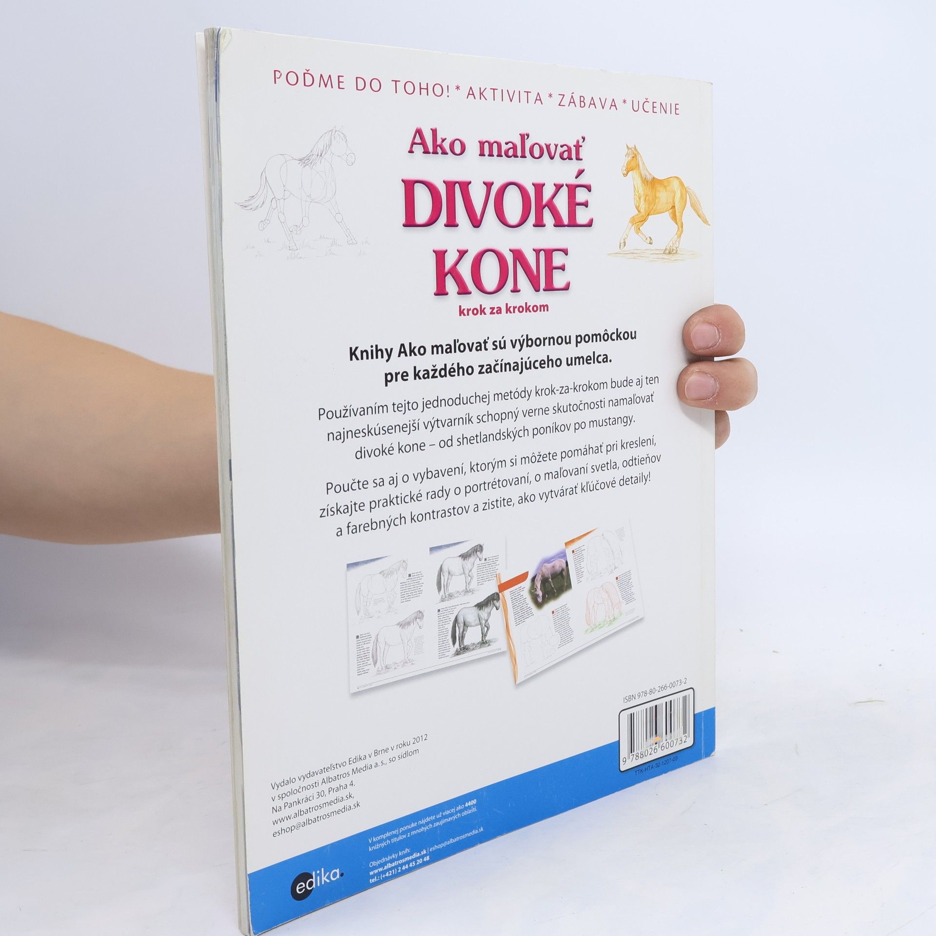 Various authors Ako maľovať divoké kone