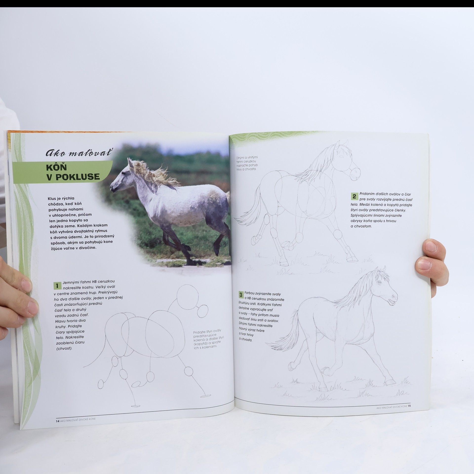 Various authors Ako maľovať divoké kone