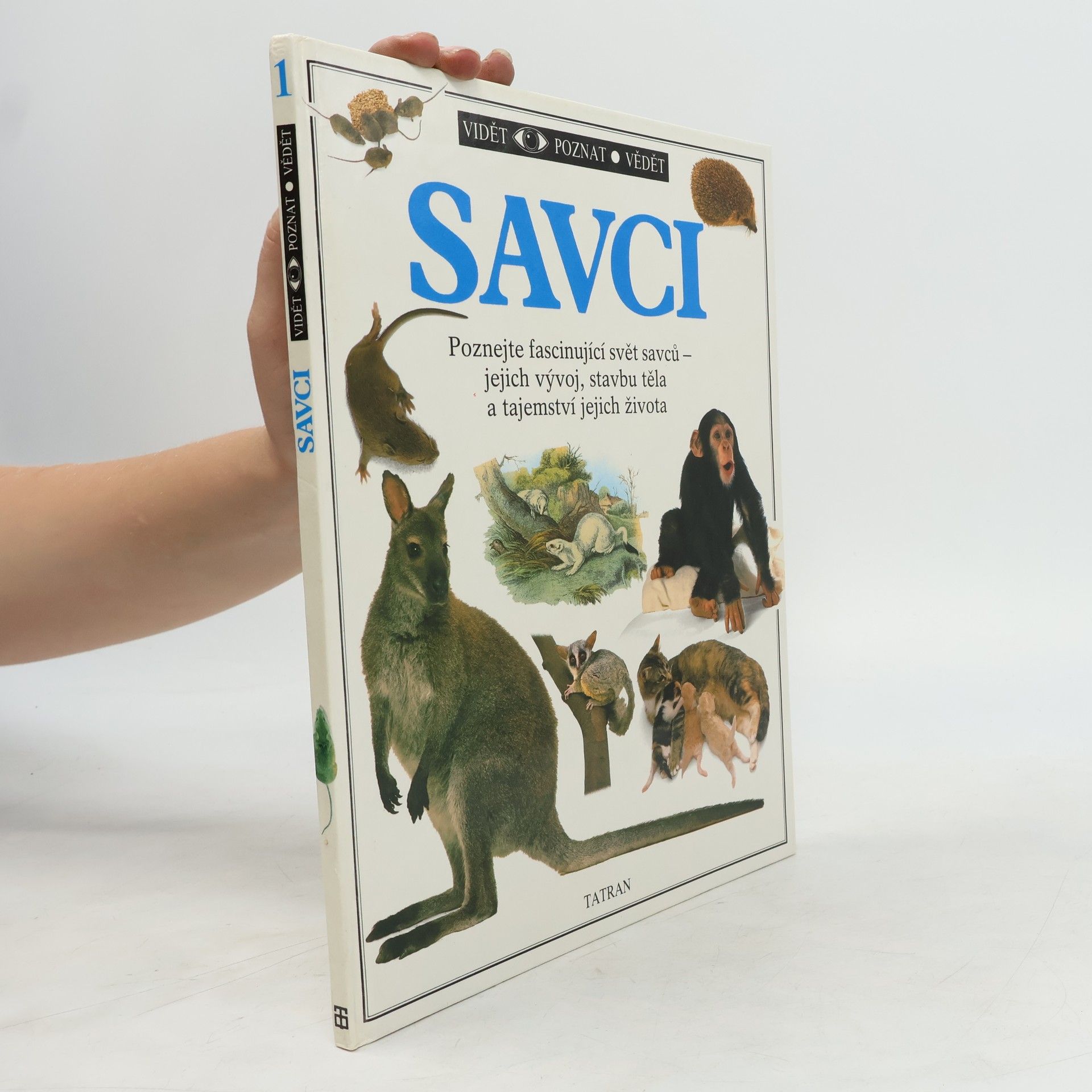 Steve Parker Savci