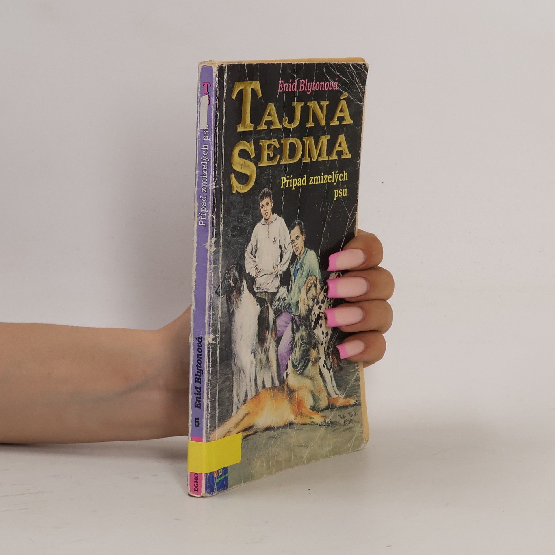 Enid Blyton Tajná sedma. Případ zmizelých psů