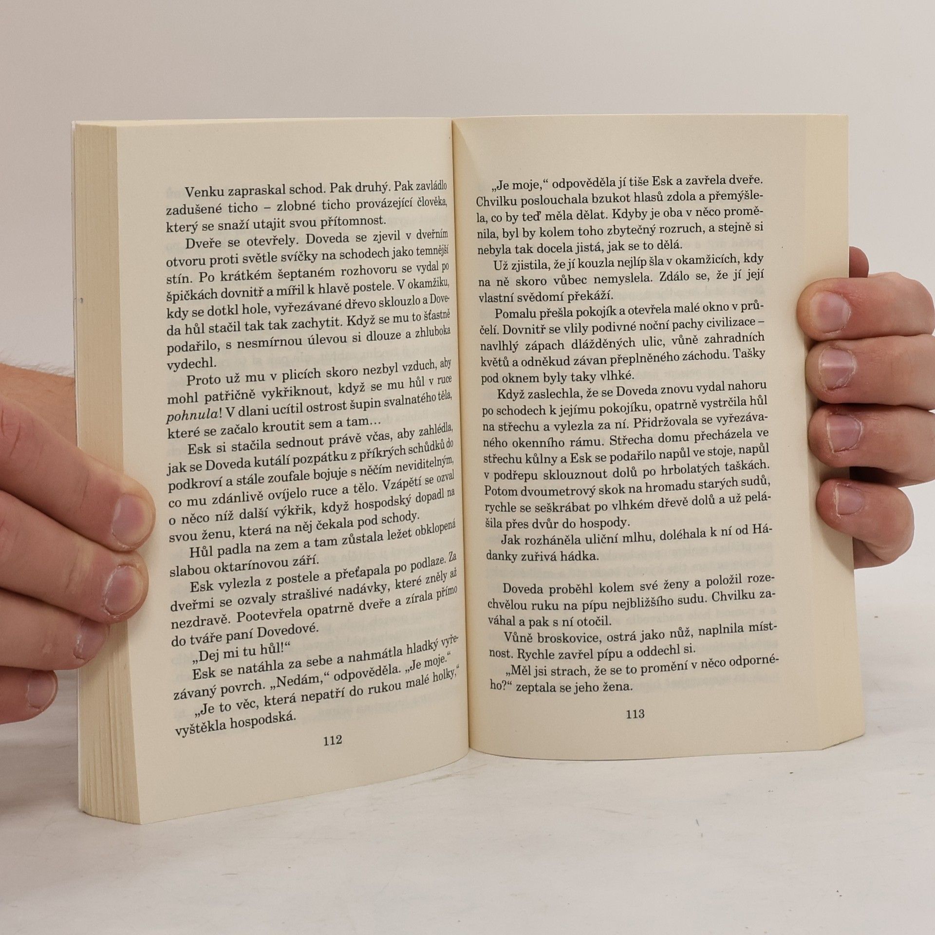 Terry Pratchett Čaroprávnost