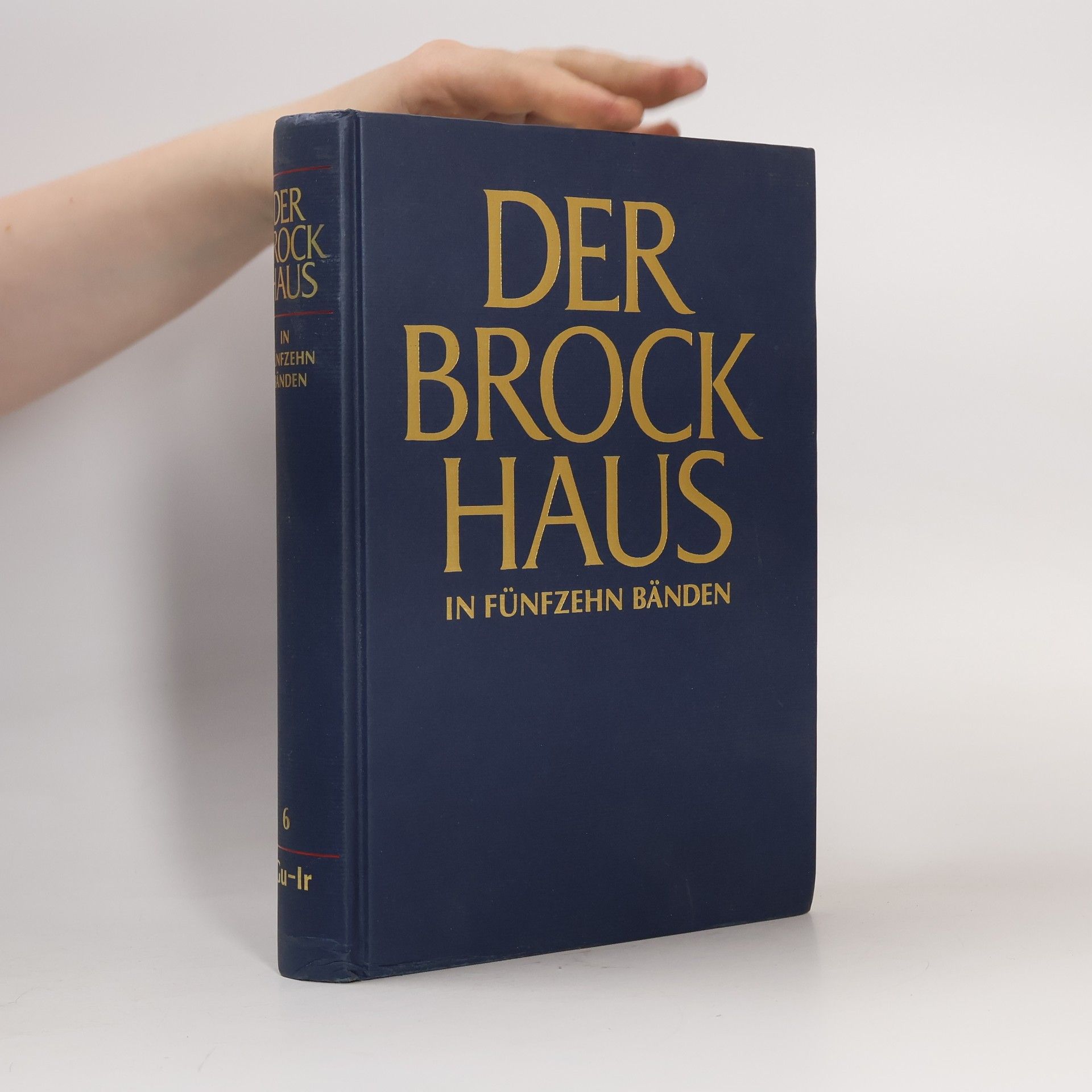Kolektiv autorů Der Brock Haus in Fünfzehn Bänden 6. Gu-Ir