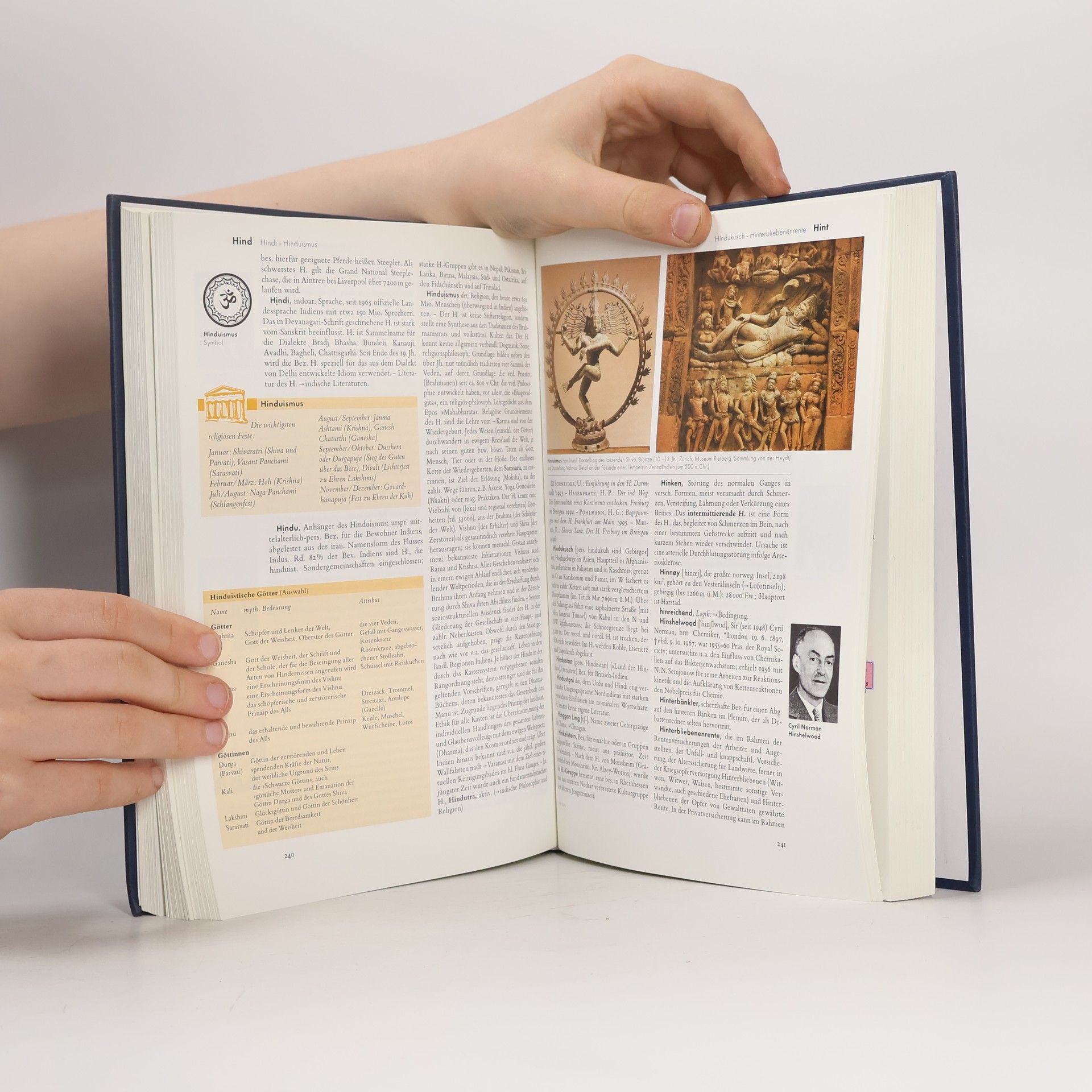 Autorenkollektiv Der Brock Haus in Fünfzehn Bänden 6. Gu-Ir