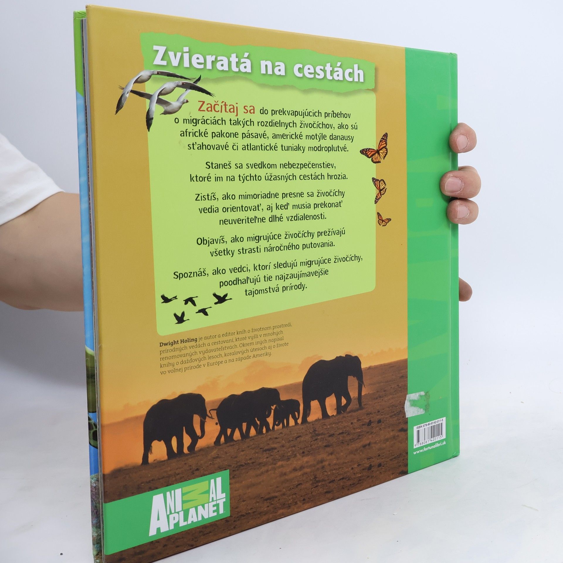 Dwight Holing Zvieratá na cestách