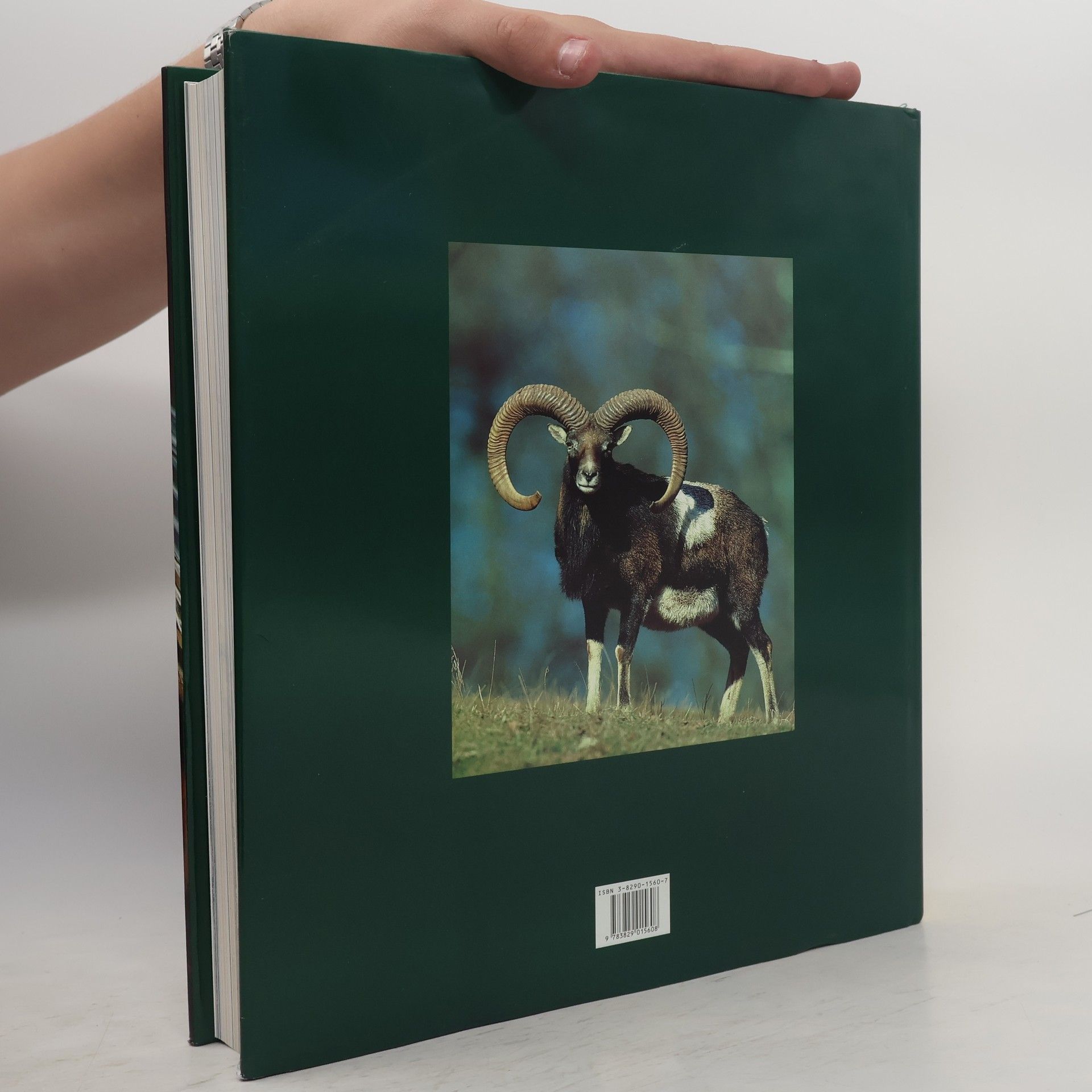Kurt Blüchel Die Jagd