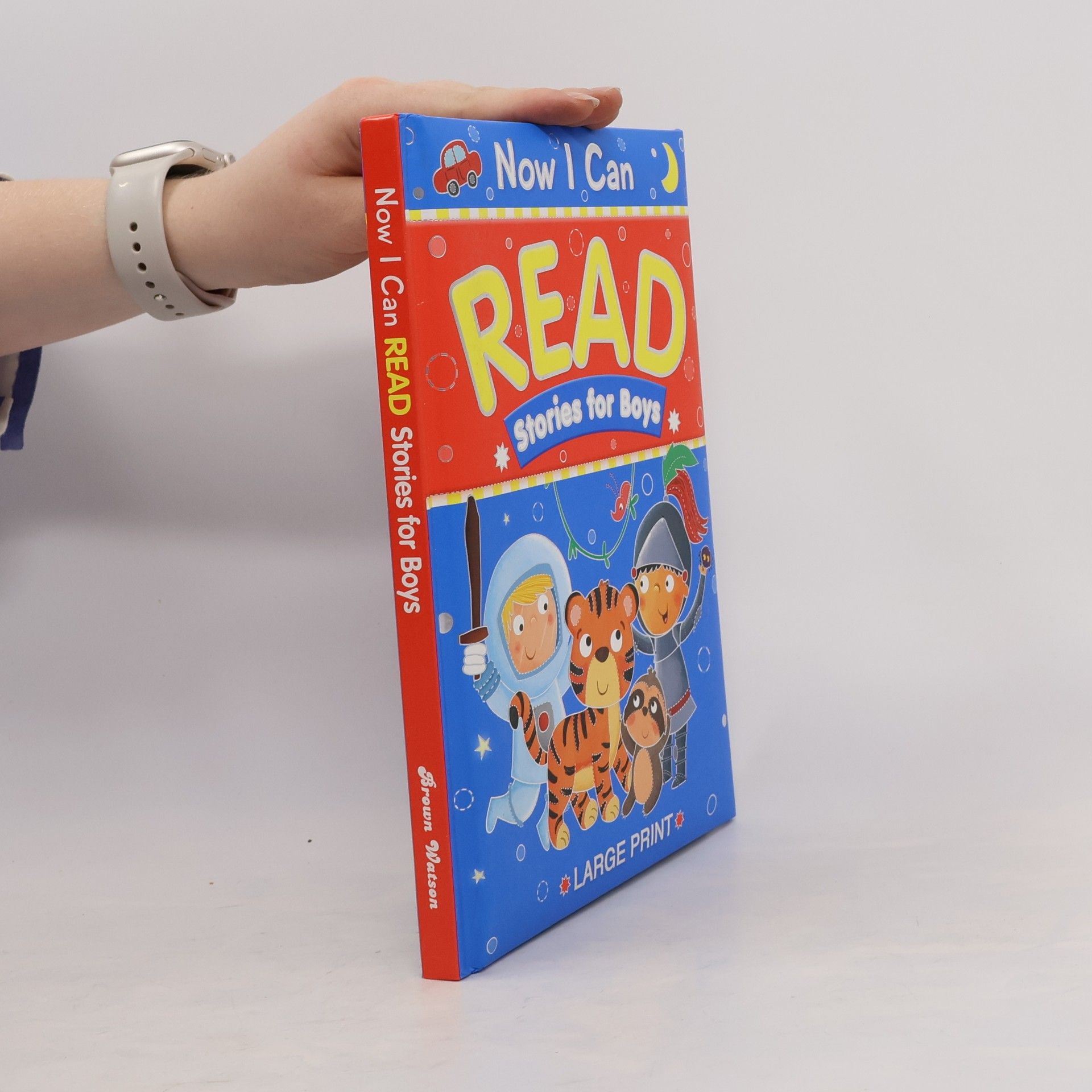 Now I Can Read Stories for Boys - Large Print