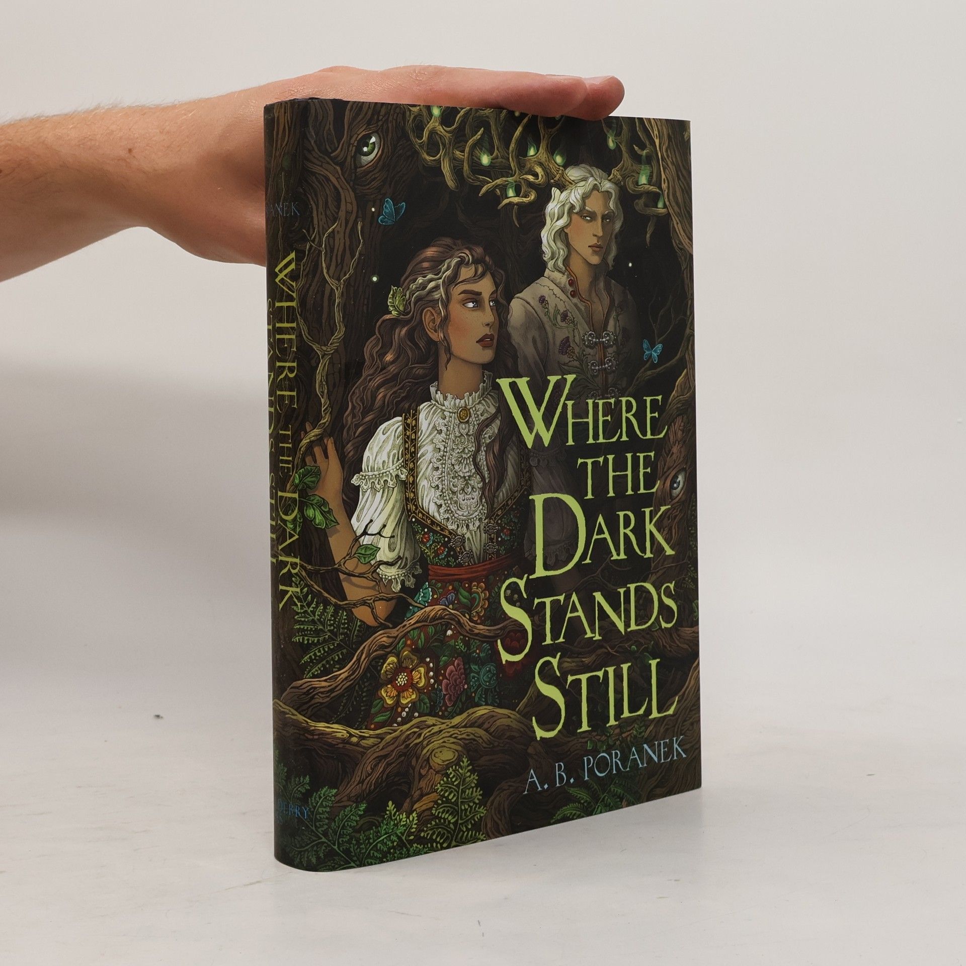 A. B. Poranek Where the Dark Stands Still