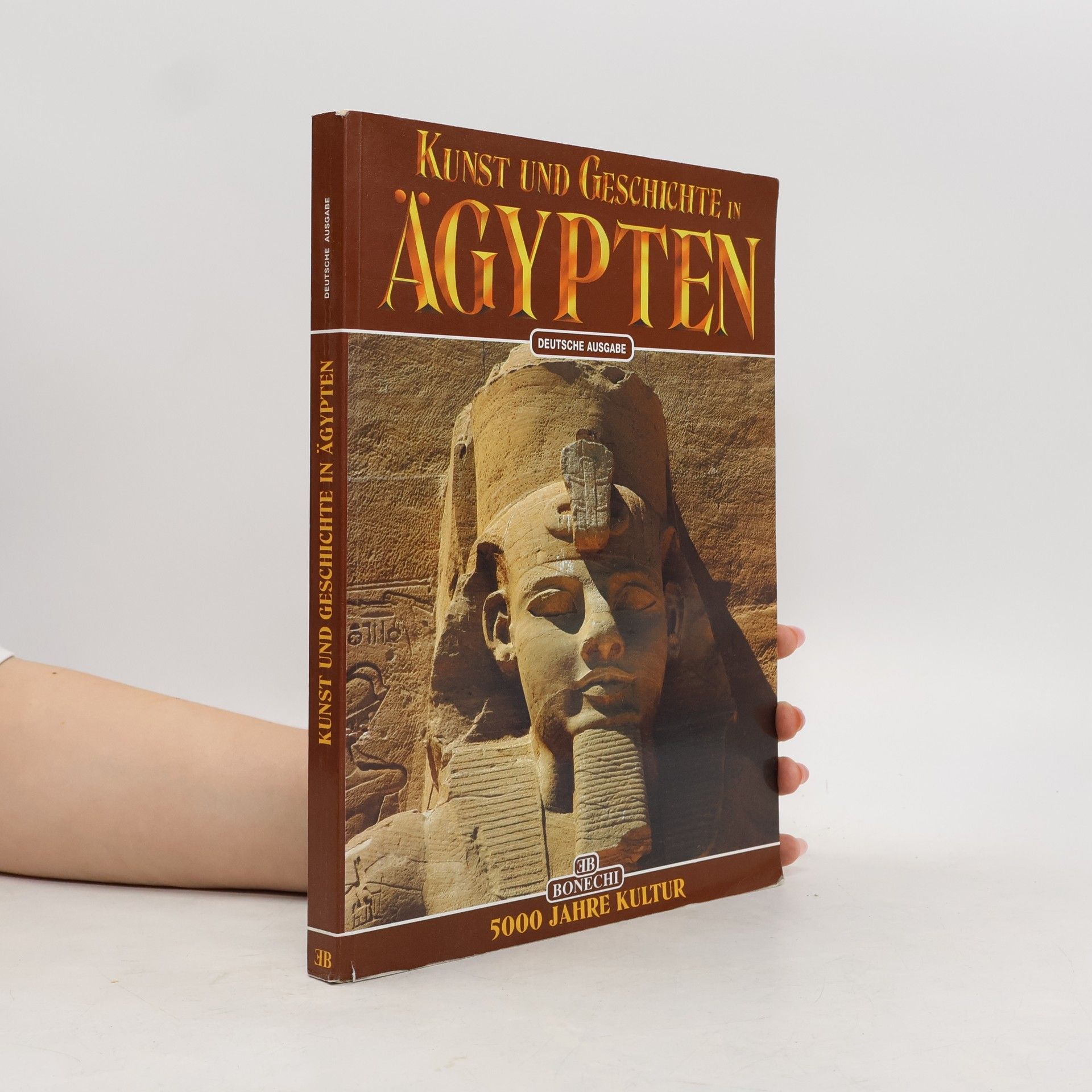 Alberto Carlo Carpiceci Kunst und Geschichte in Ägypten