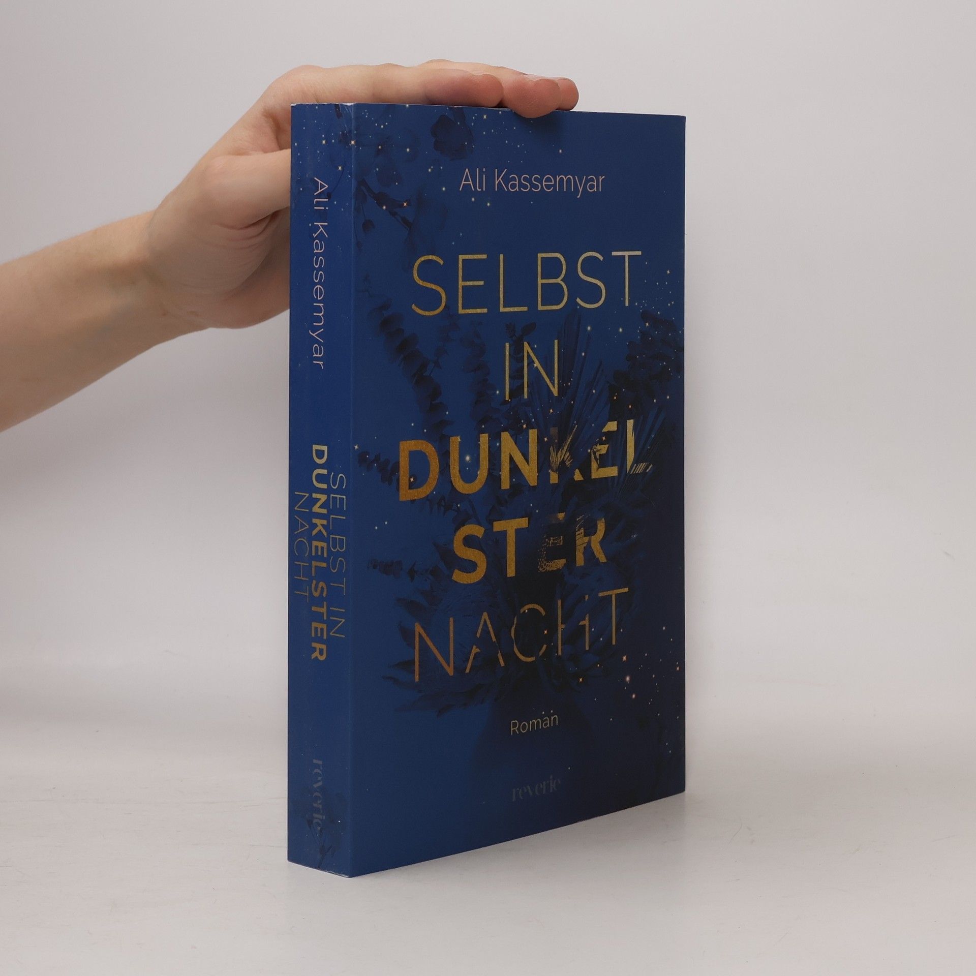 Ali Kassemyar Selbst in dunkelster Nacht