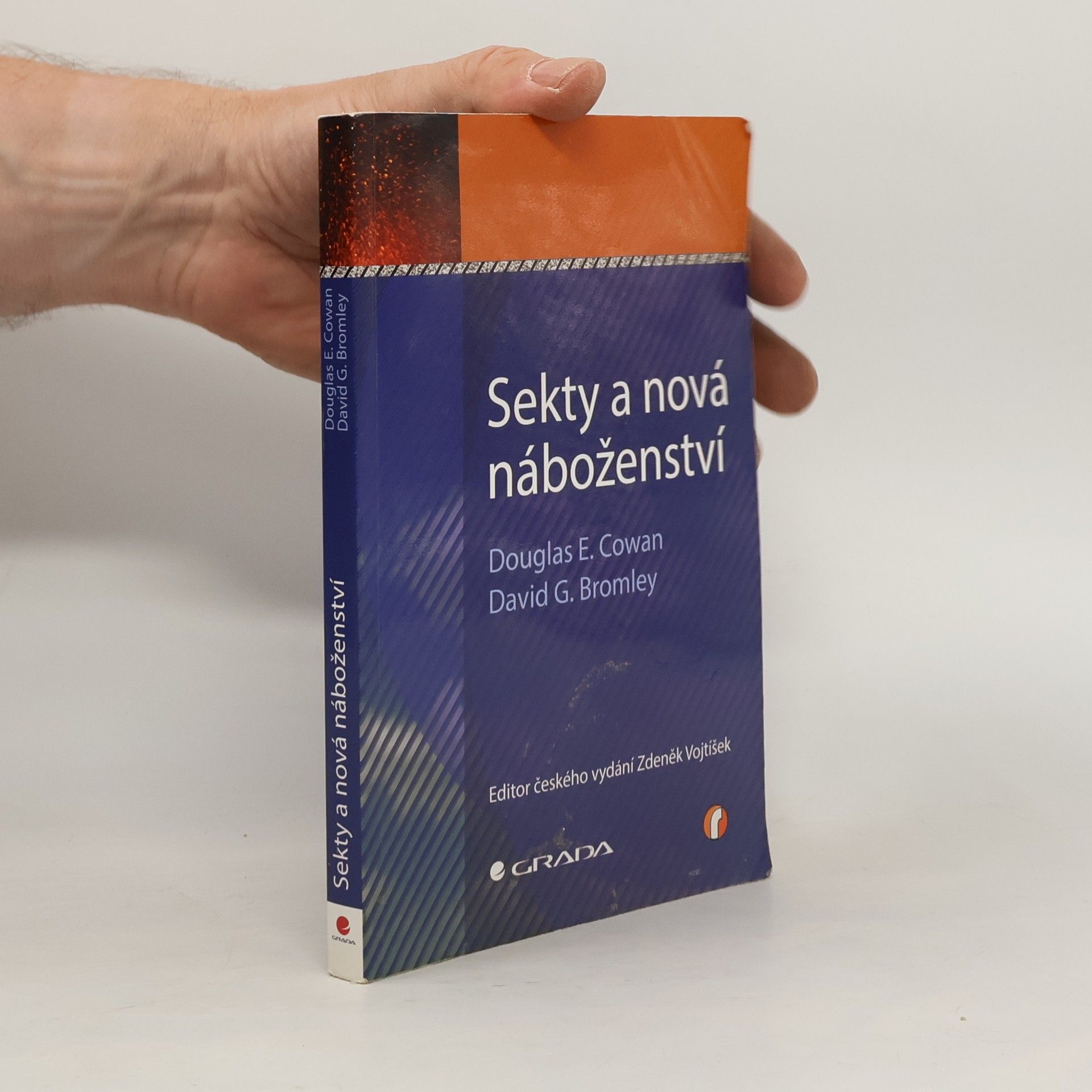 David G. Bromley Sekty a nová náboženství
