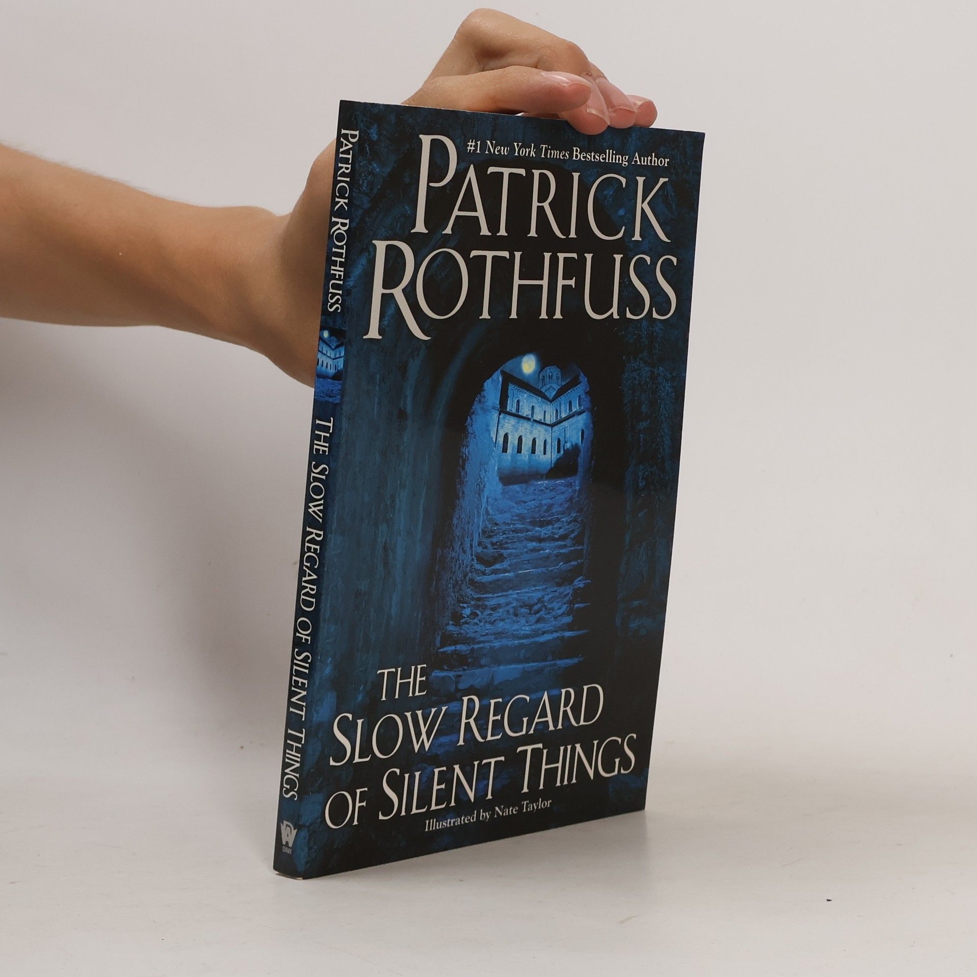The Slow Regard of Silent Things