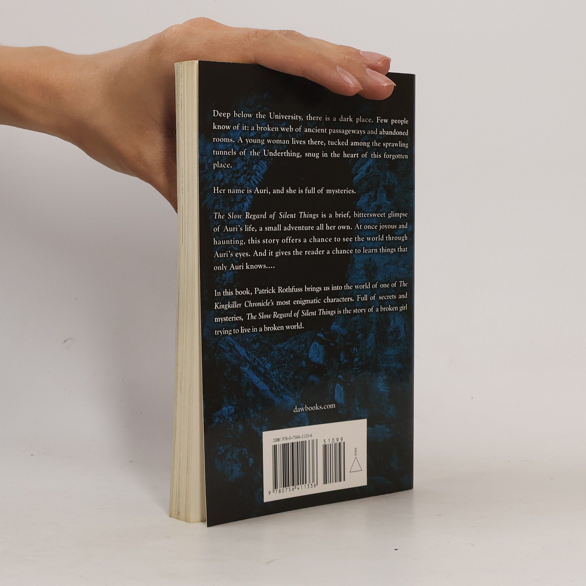Patrick Rothfuss The Slow Regard of Silent Things