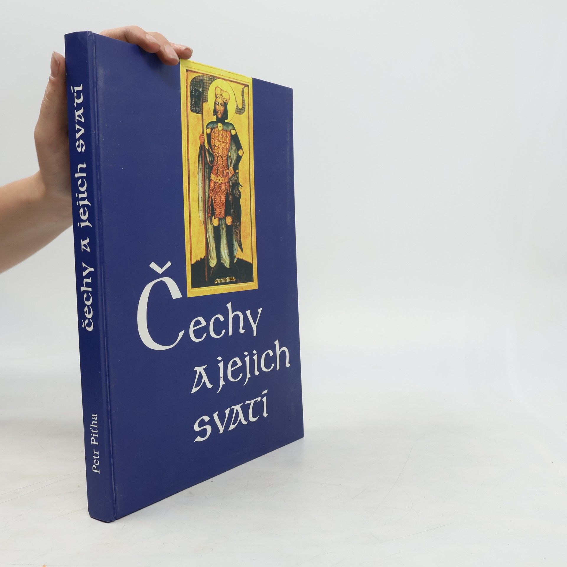 Petr Pit̕ha Čechy a jejich svatí