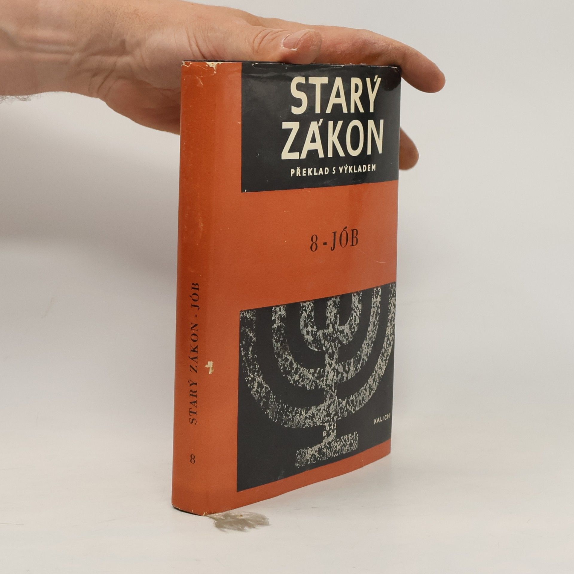 Miloš Bič Starý zákon 8. Jób
