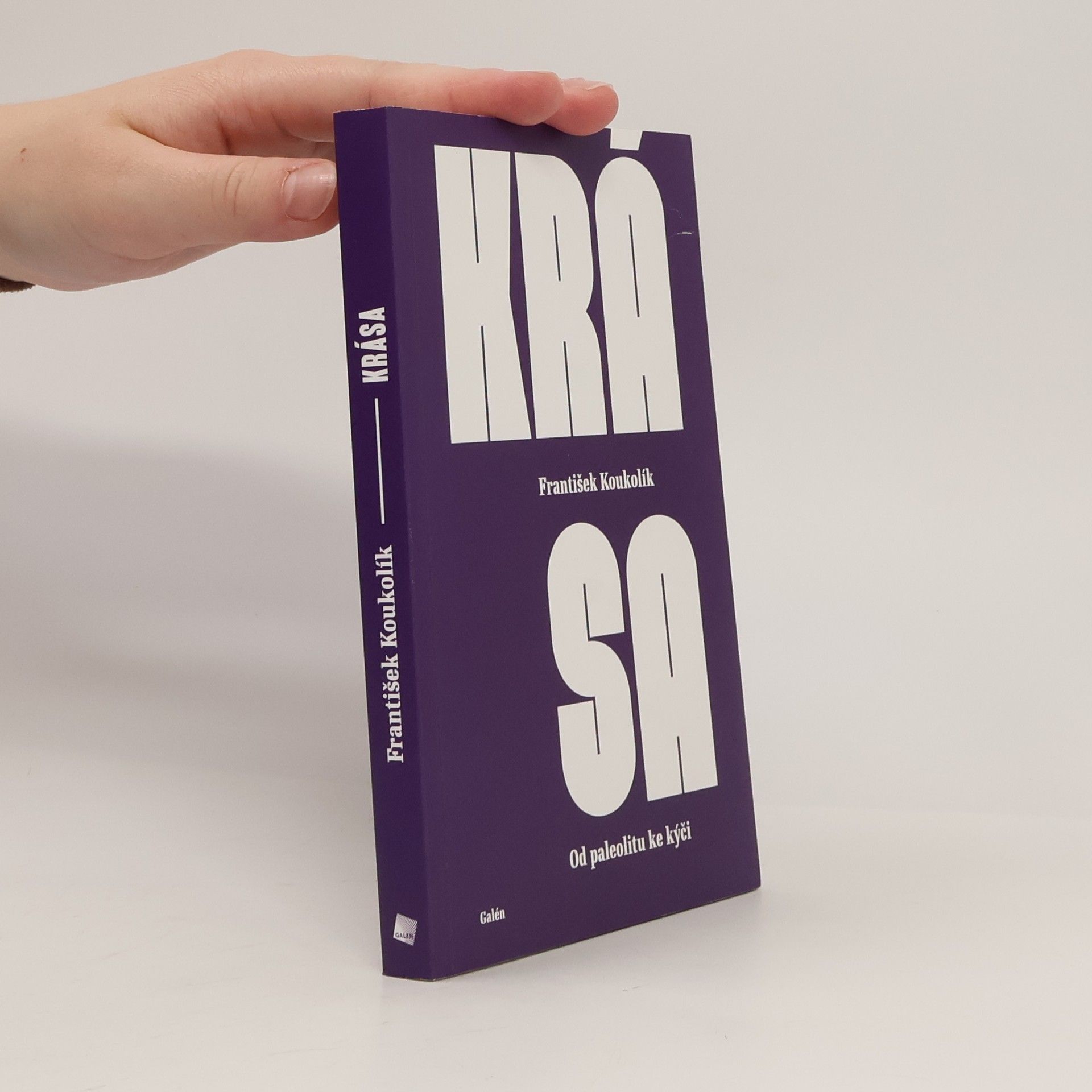 Krása: od paleolitu ke kýči