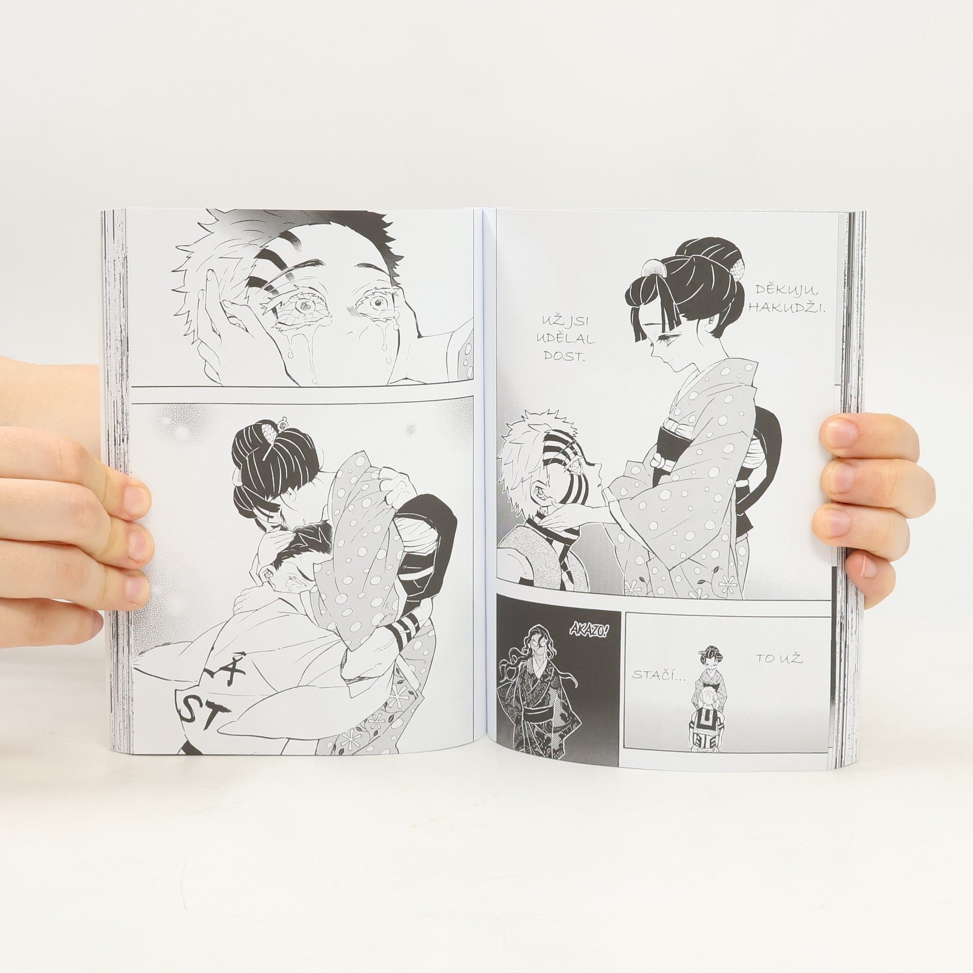 Koyoharu Gotōge Zabiják démonů 18 - Příval nostalgie