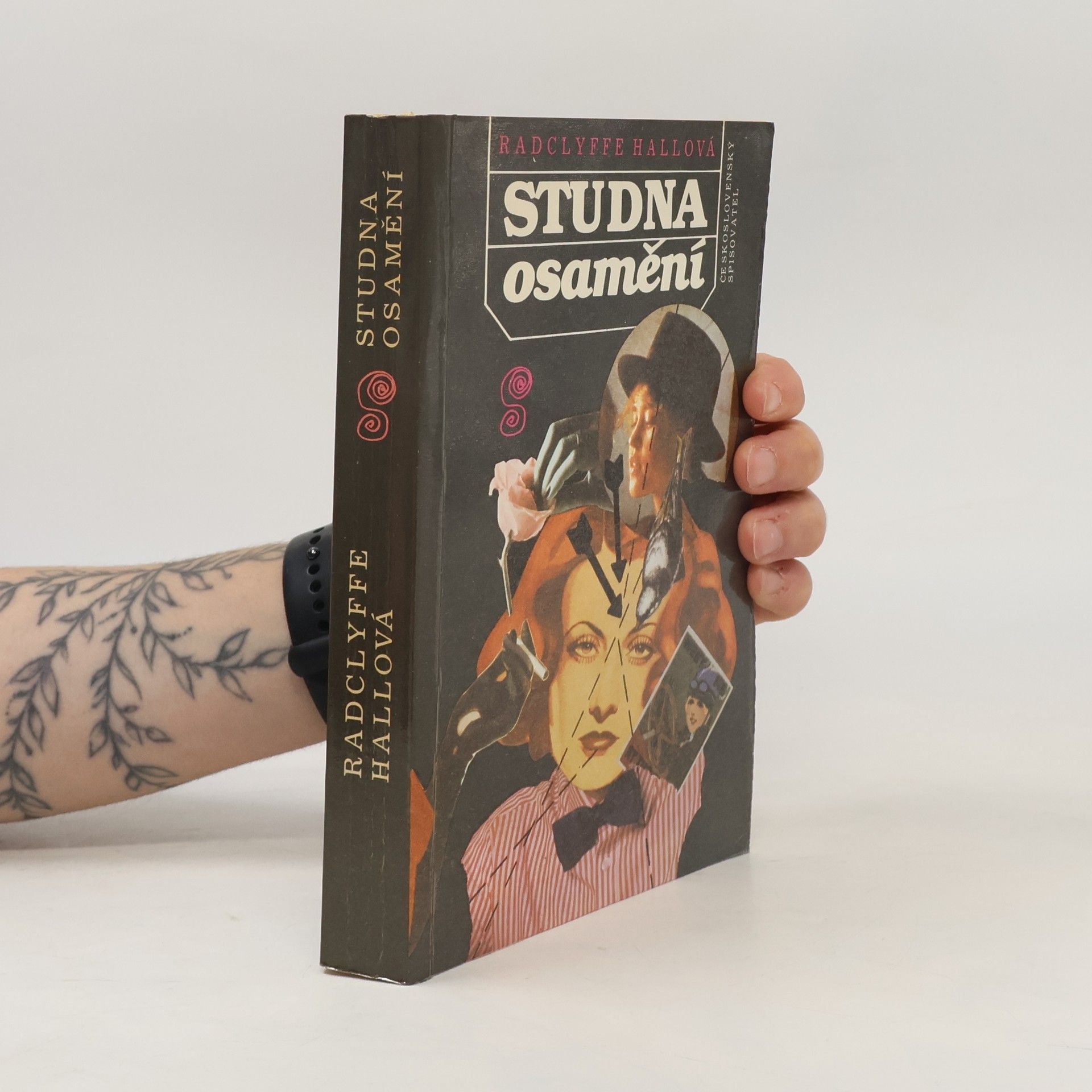 Radclyffe Hall Studna osamění