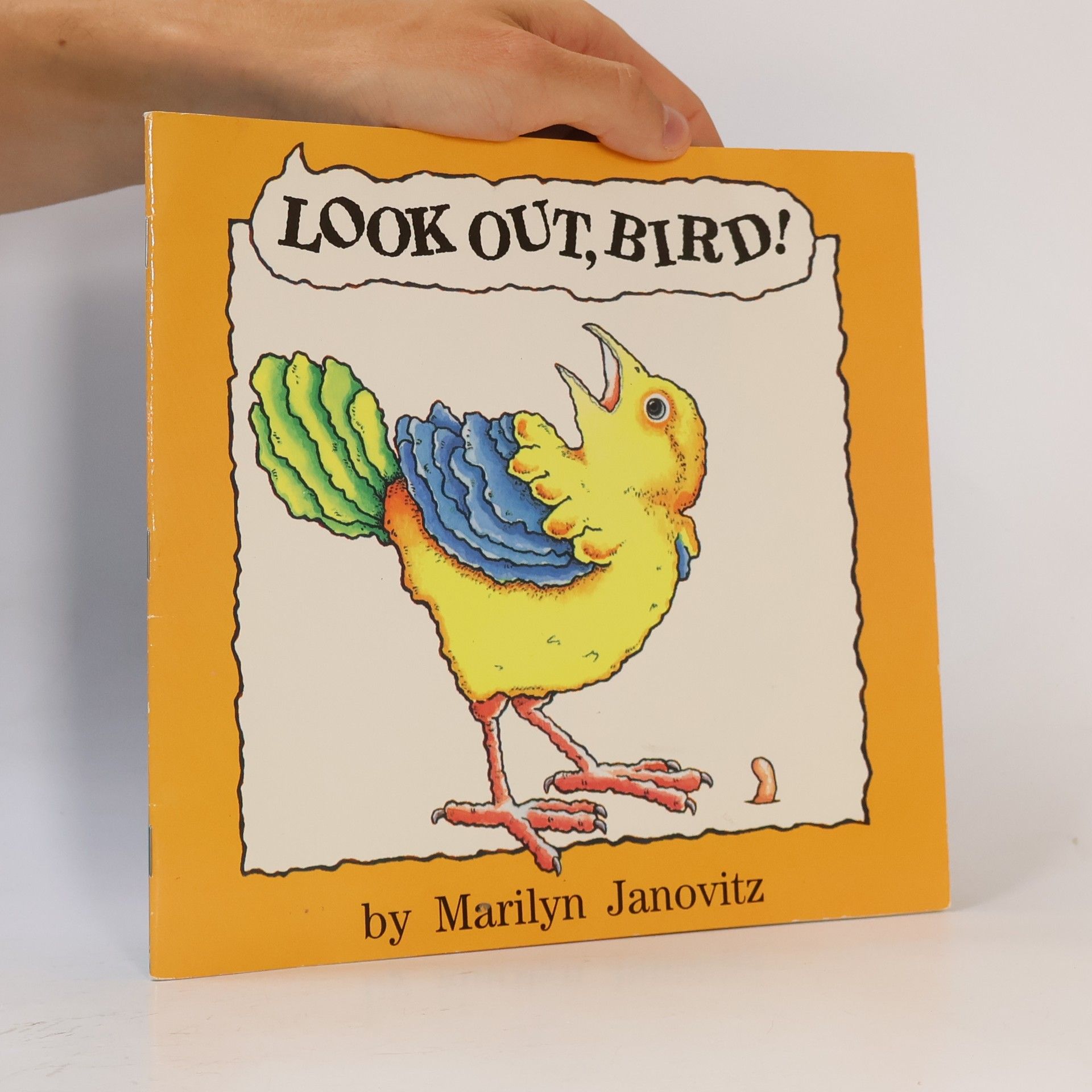 Look Out, Bird!