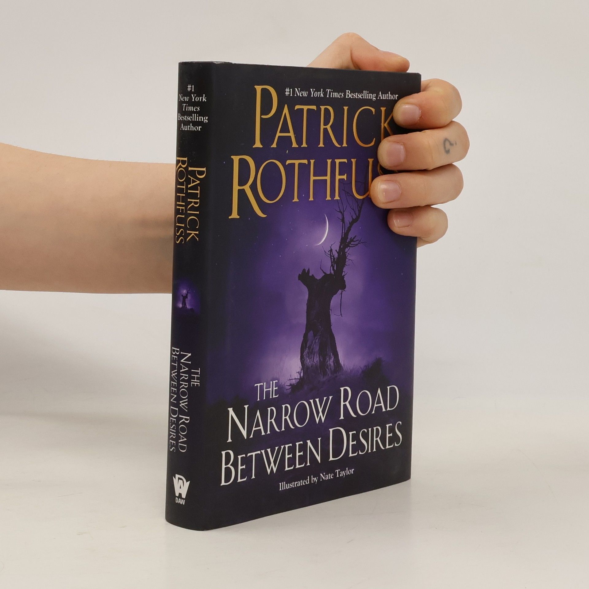 Patrick Rothfuss The Narrow Road Between Desires