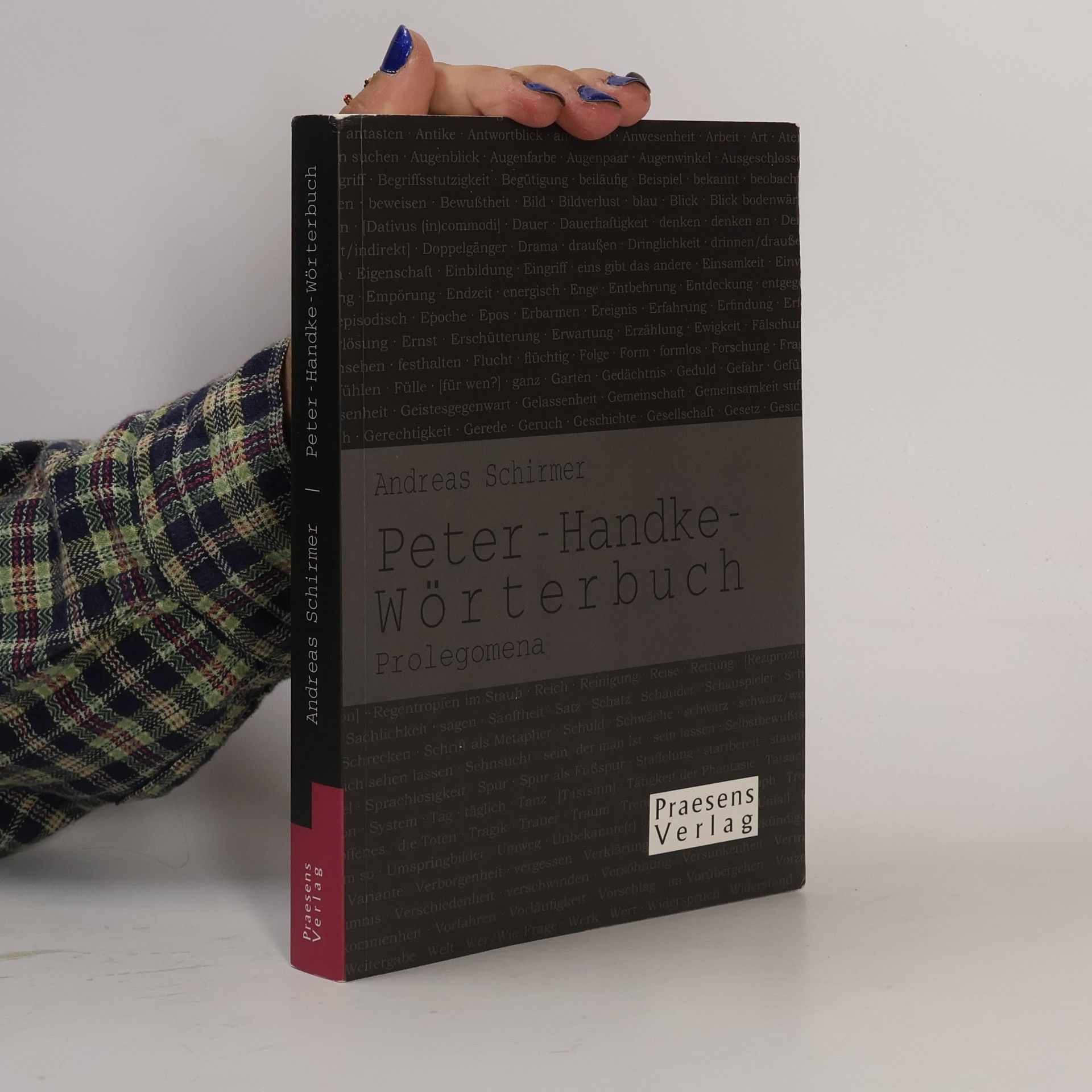 Andreas Schirmer Peter-Handke-Wörterbuch