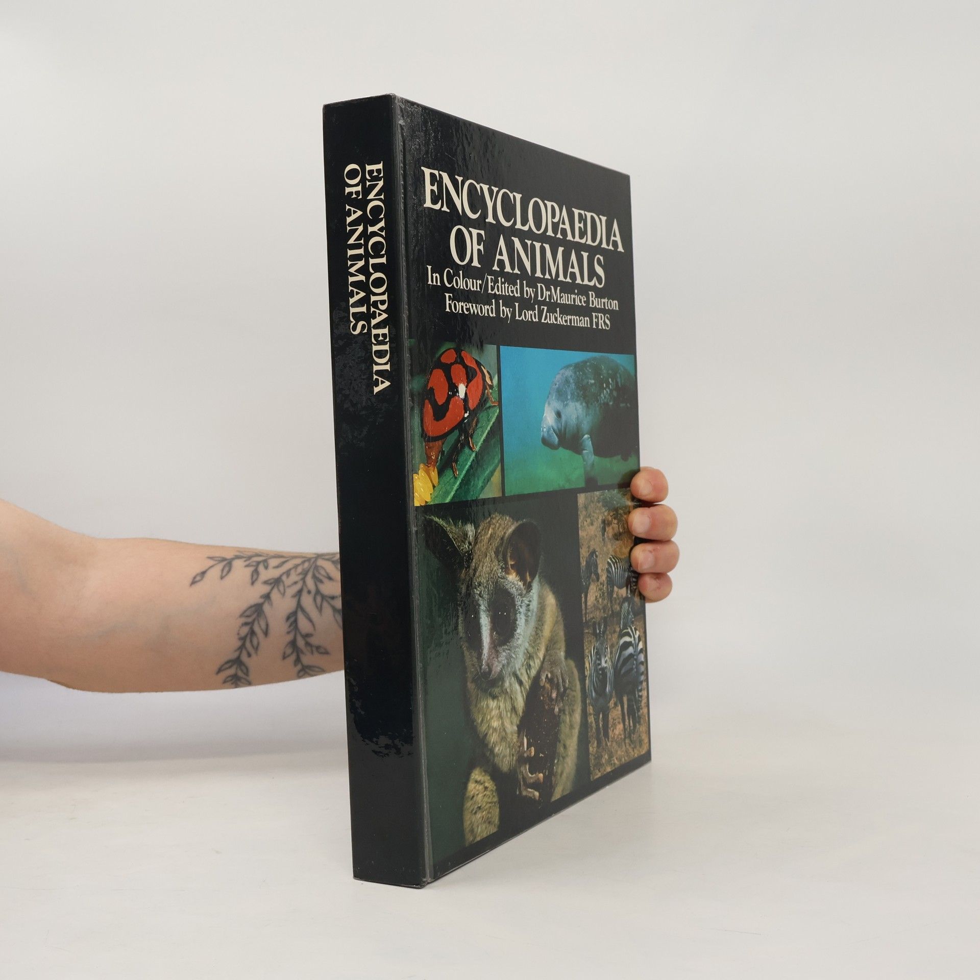 Maurice Burton Encyclopaedia of Animals in Colour