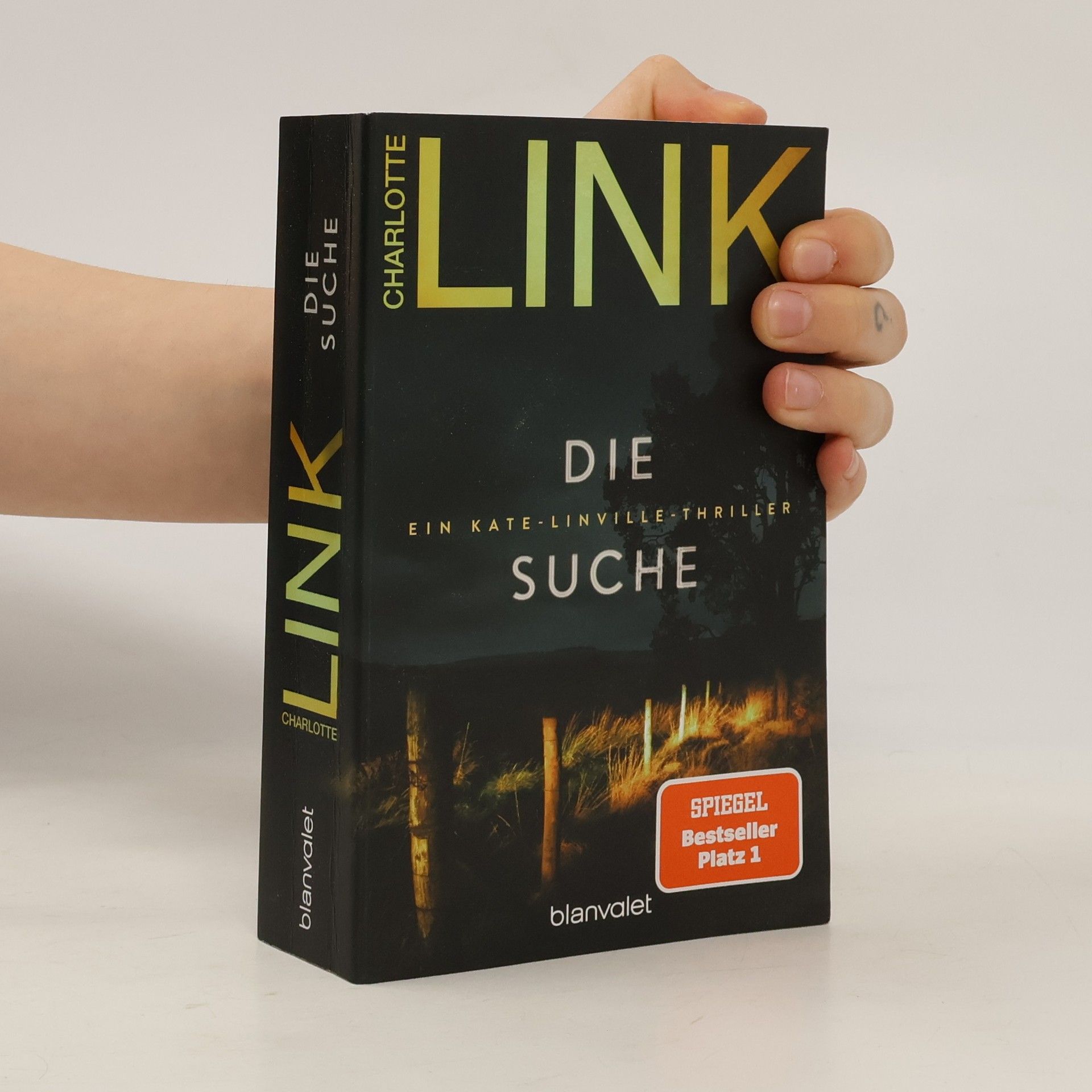 Charlotte Link Kate-Linville-Thriller - 2: Die Suche