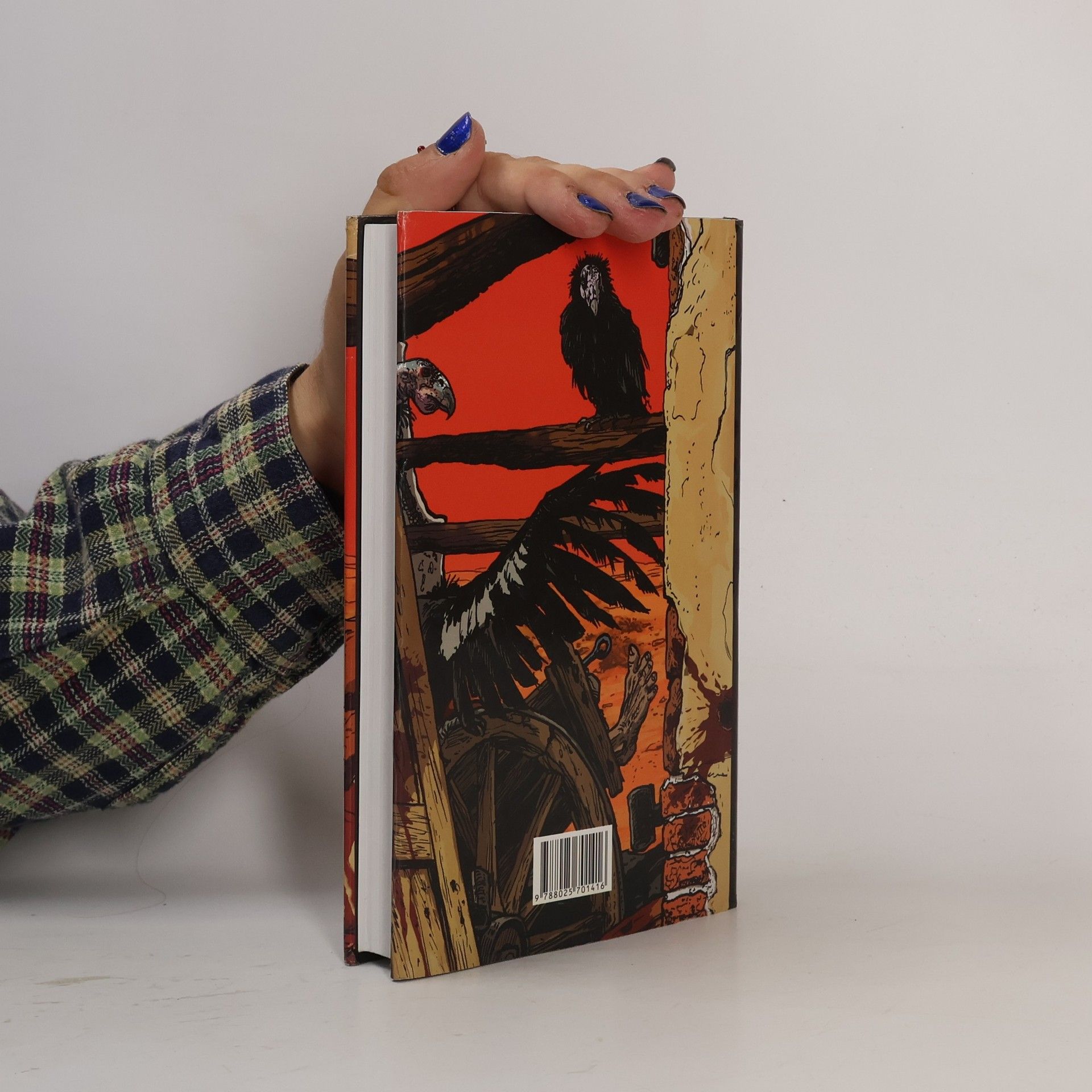 Cormac McCarthy Krvavý poledník aneb Večerní červánky na západě