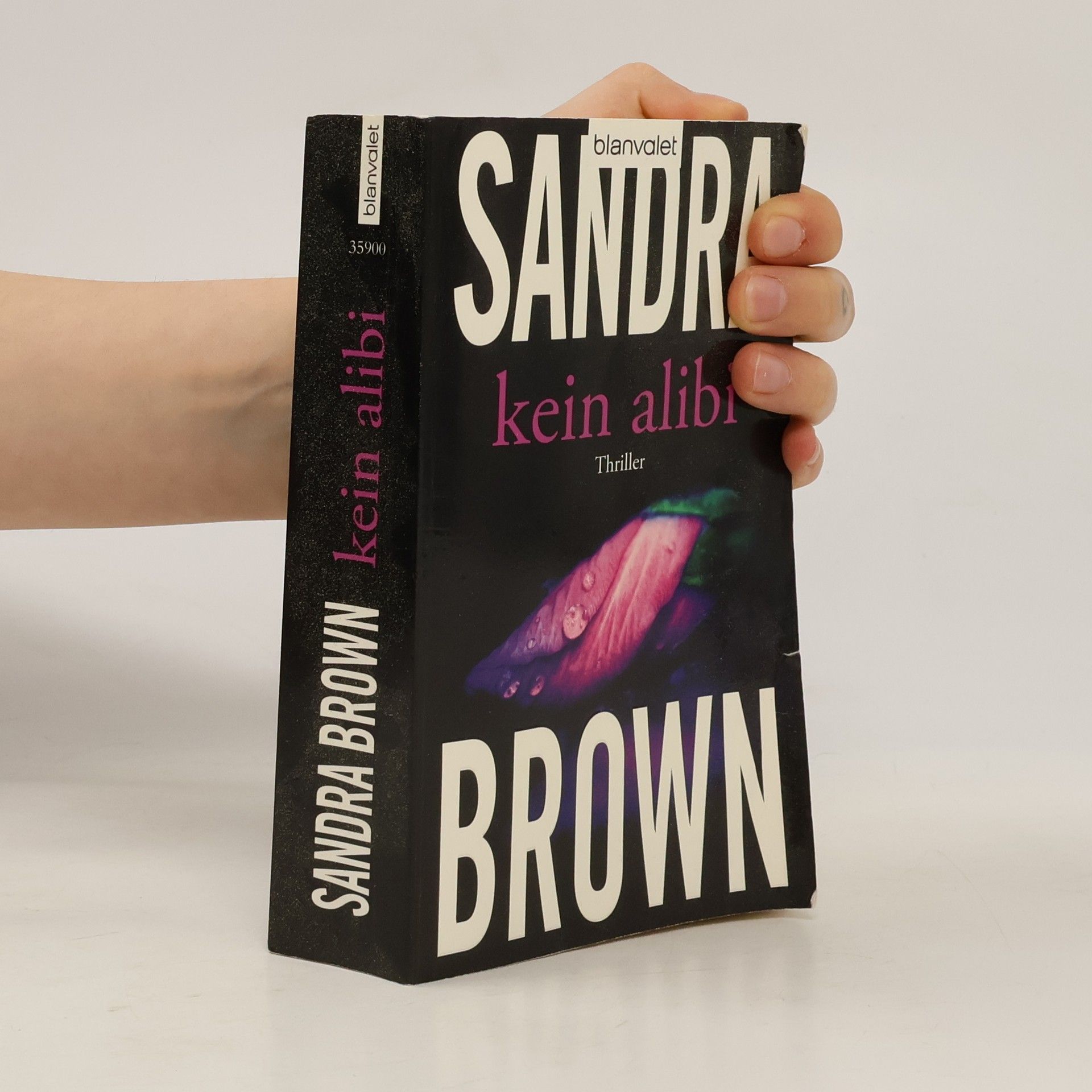 Sandra Brown Kein Alibi