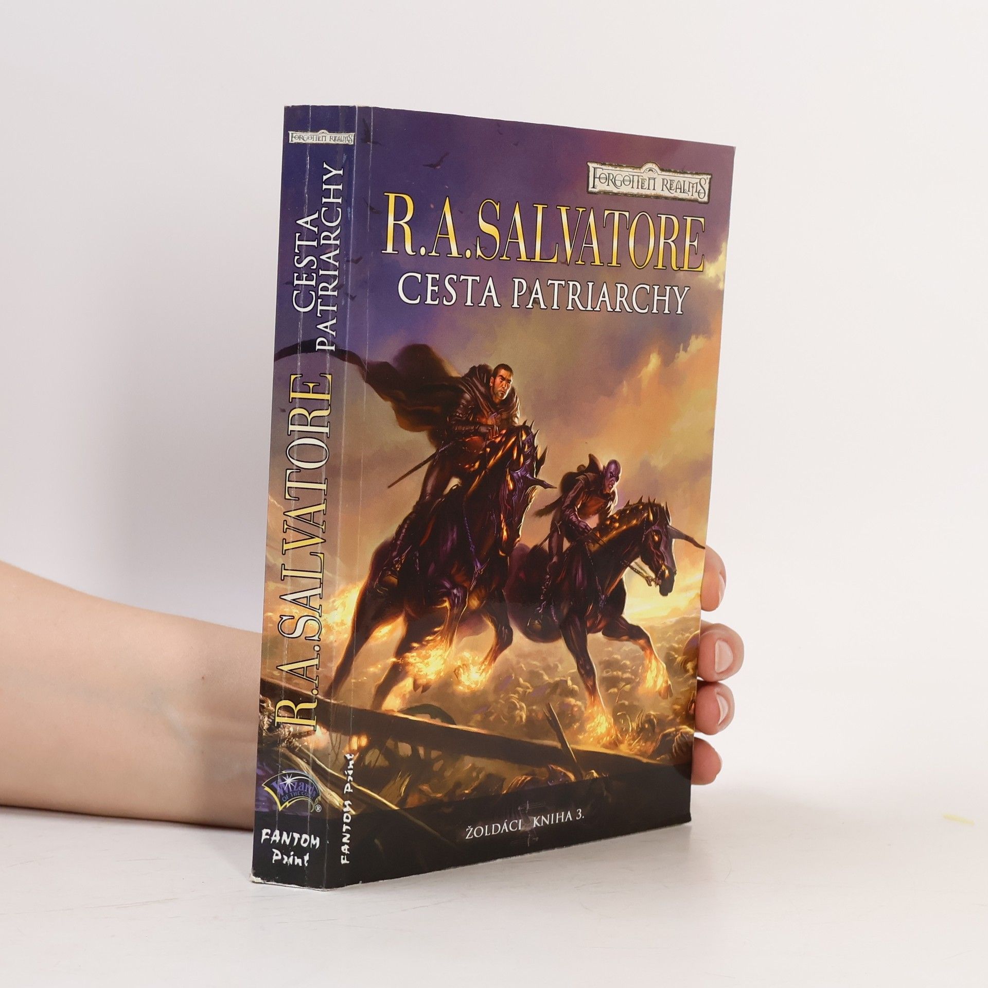 Robert Anthony Salvatore Žoldáci. Kniha 3., Cesta patriarchy