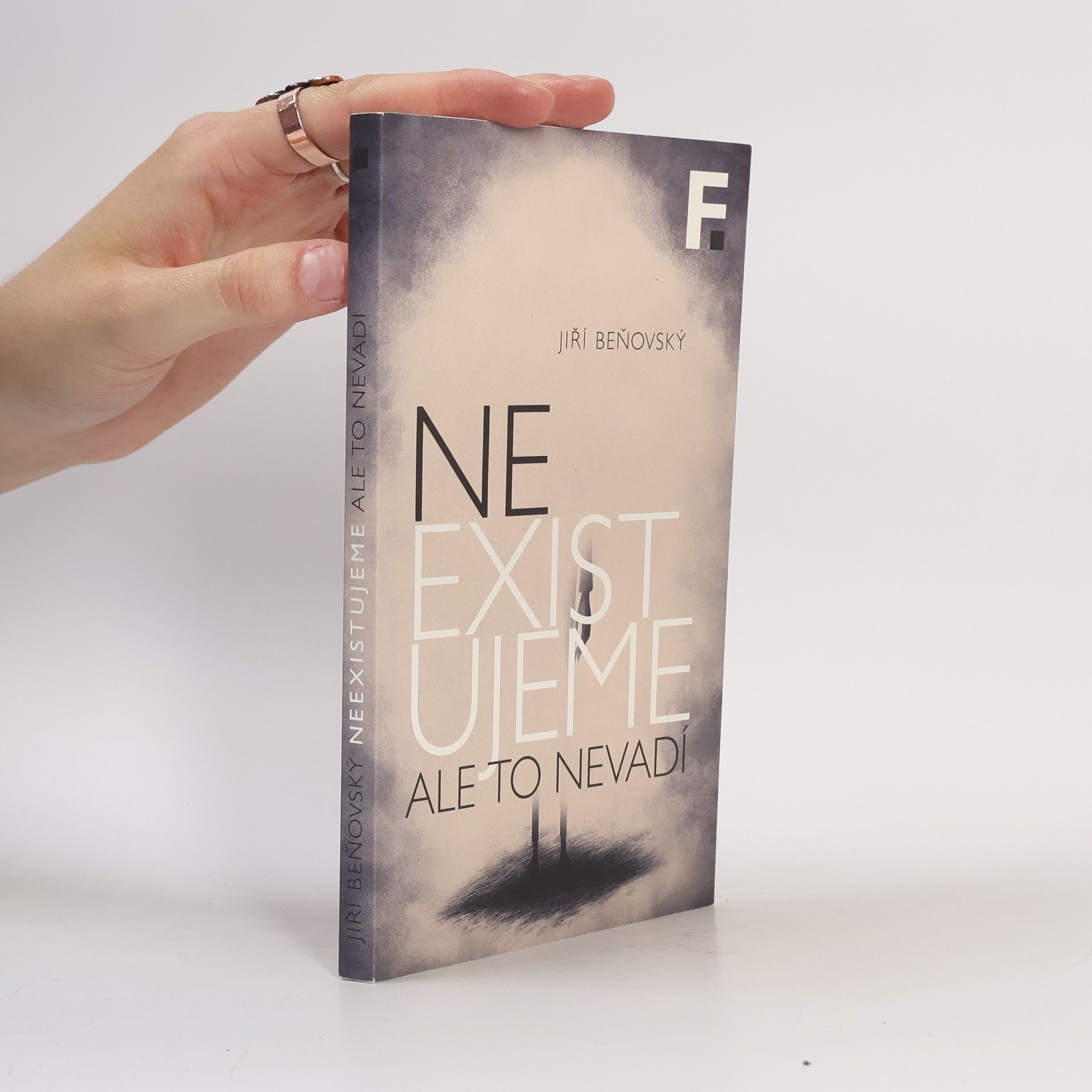 Jiri Benovsky Neexistujeme, ale to nevadí