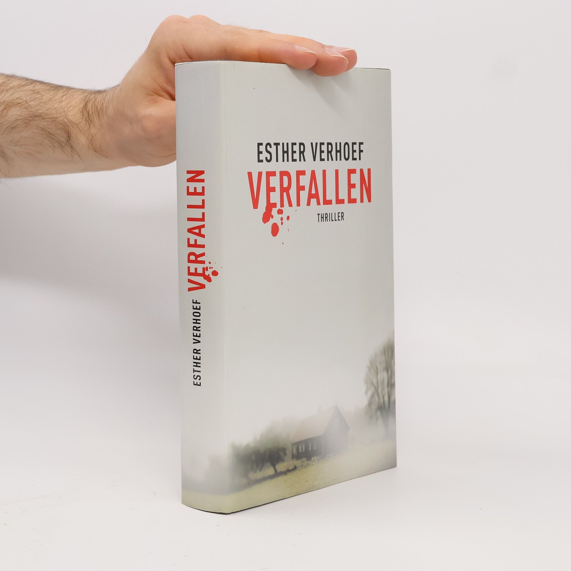 Berry Verhoef Verfallen