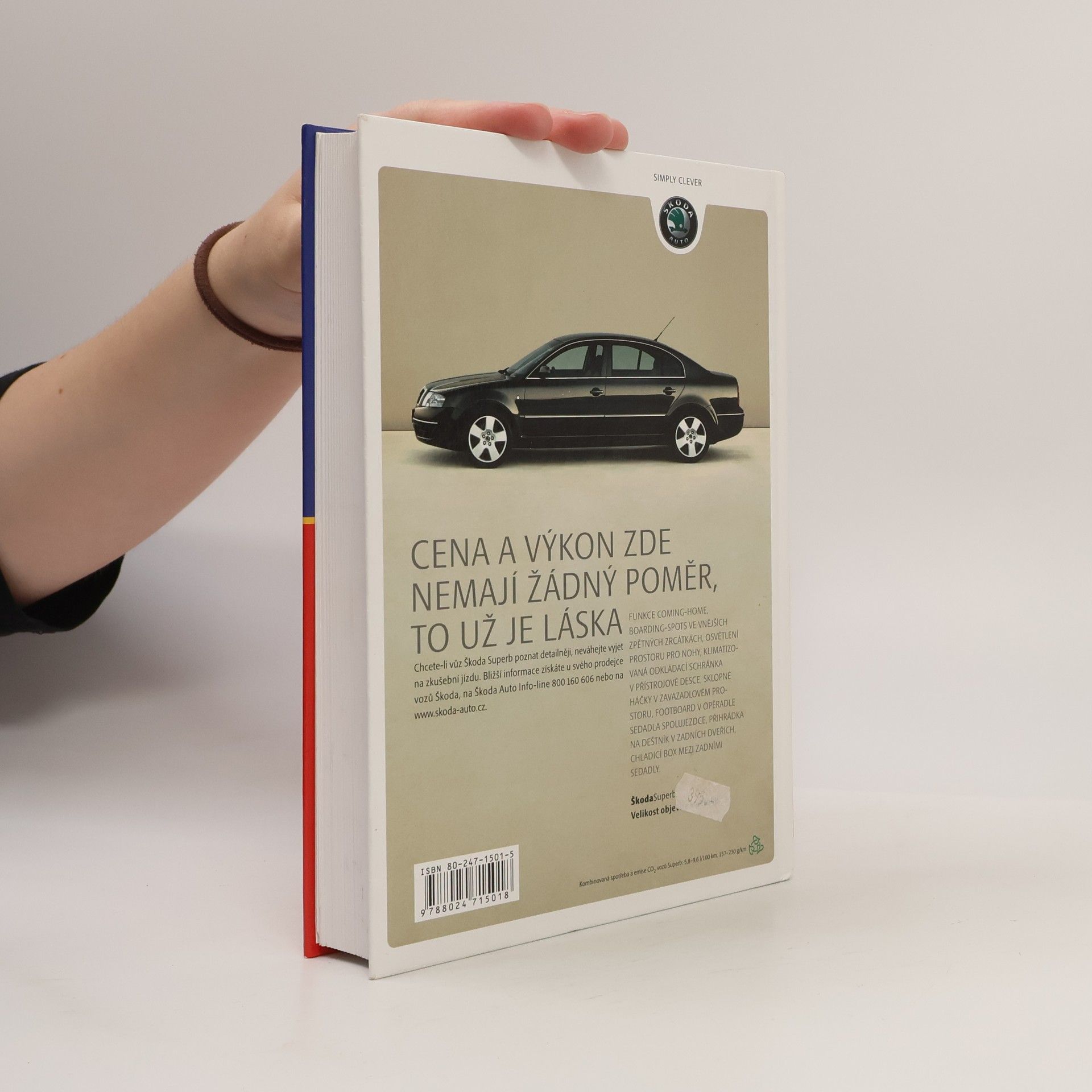 Alena Svozilová Projektový management