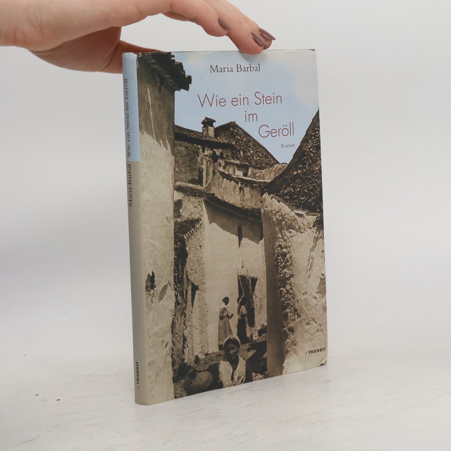 Maria Barbal Wie ein Stein im Geröll