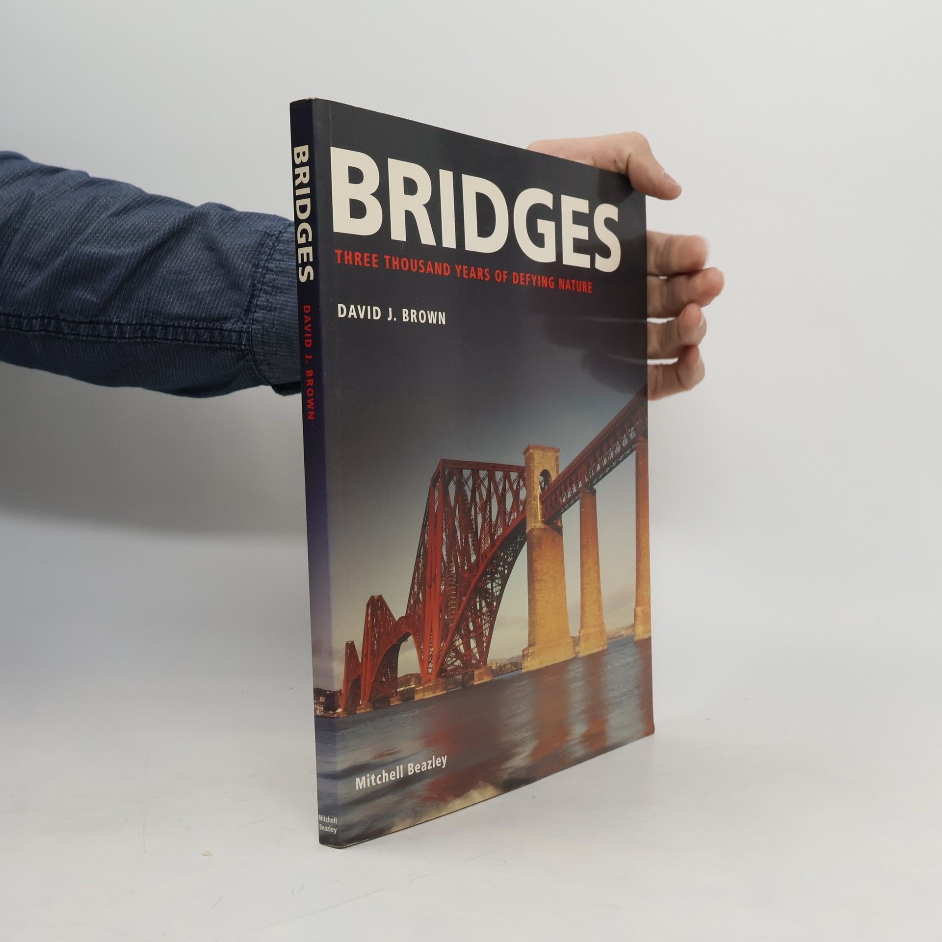 David J. Brown Bridges
