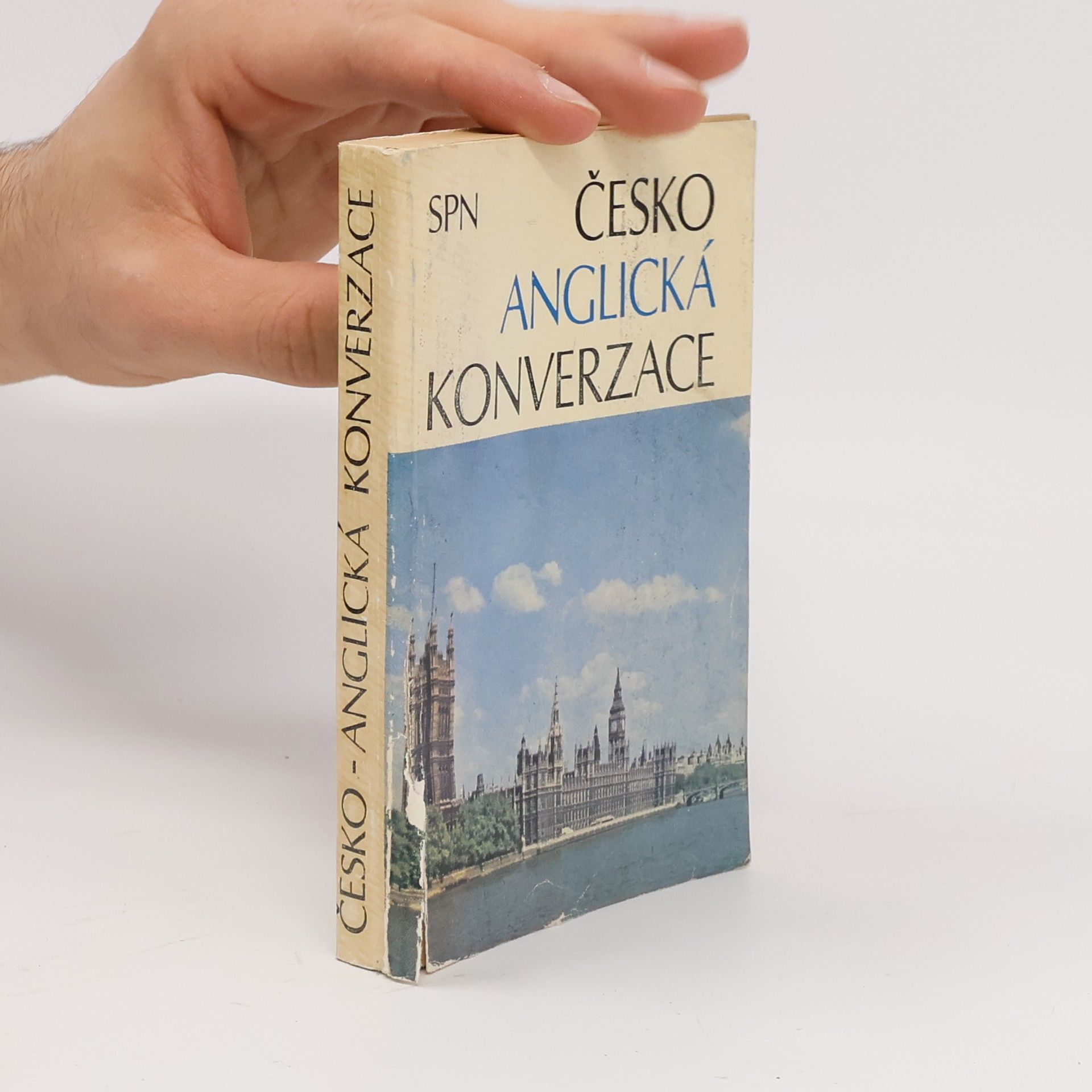 Jarmila Janešová Česko-anglická konverzace