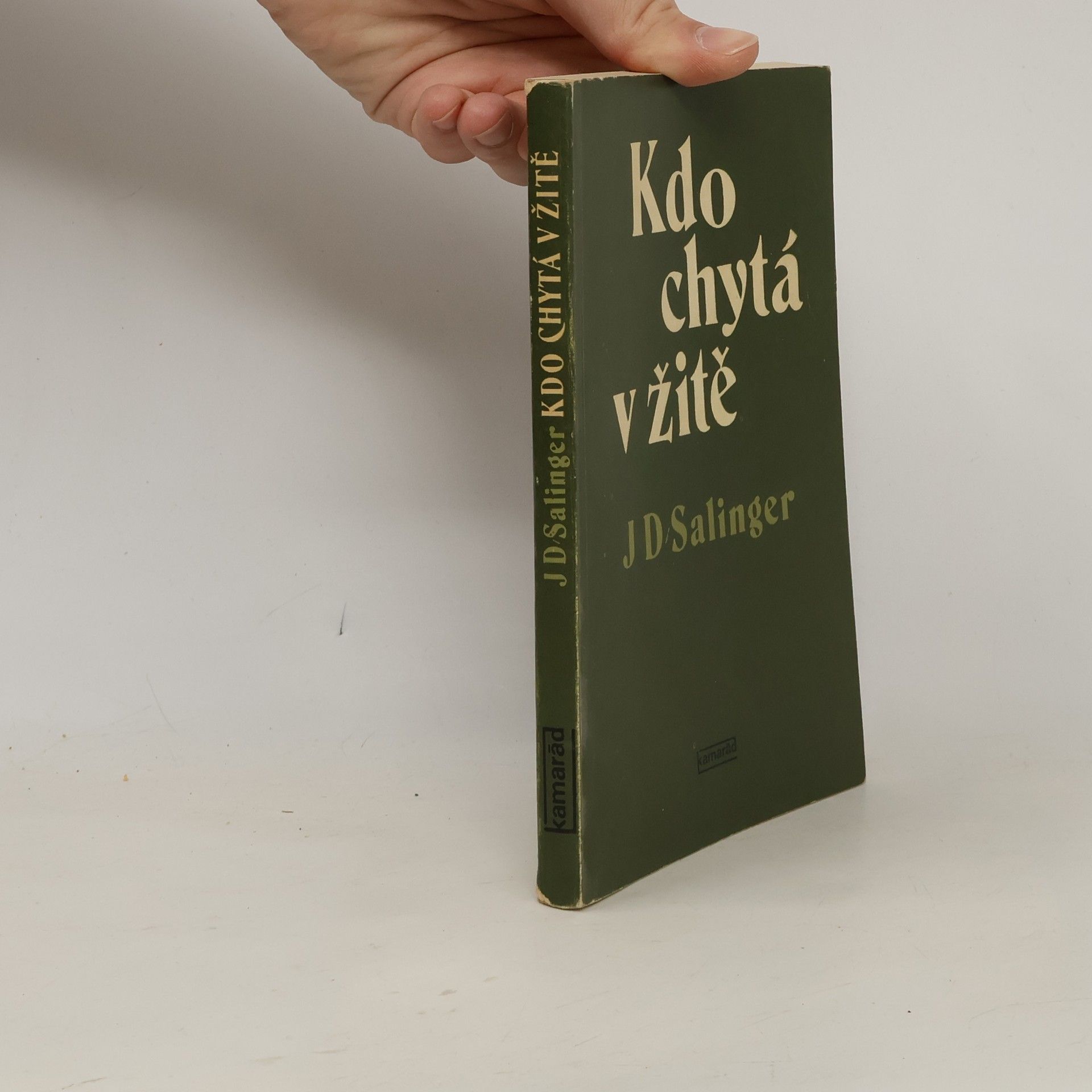 J. D. Salinger Kdo chytá v žitě