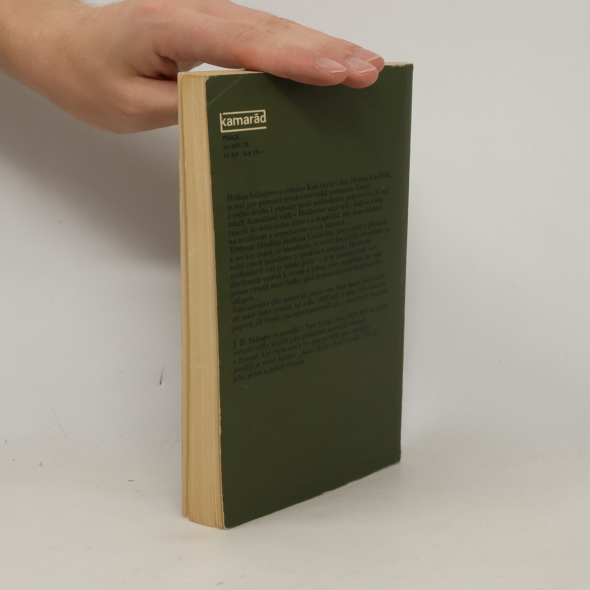 J. D. Salinger Kdo chytá v žitě