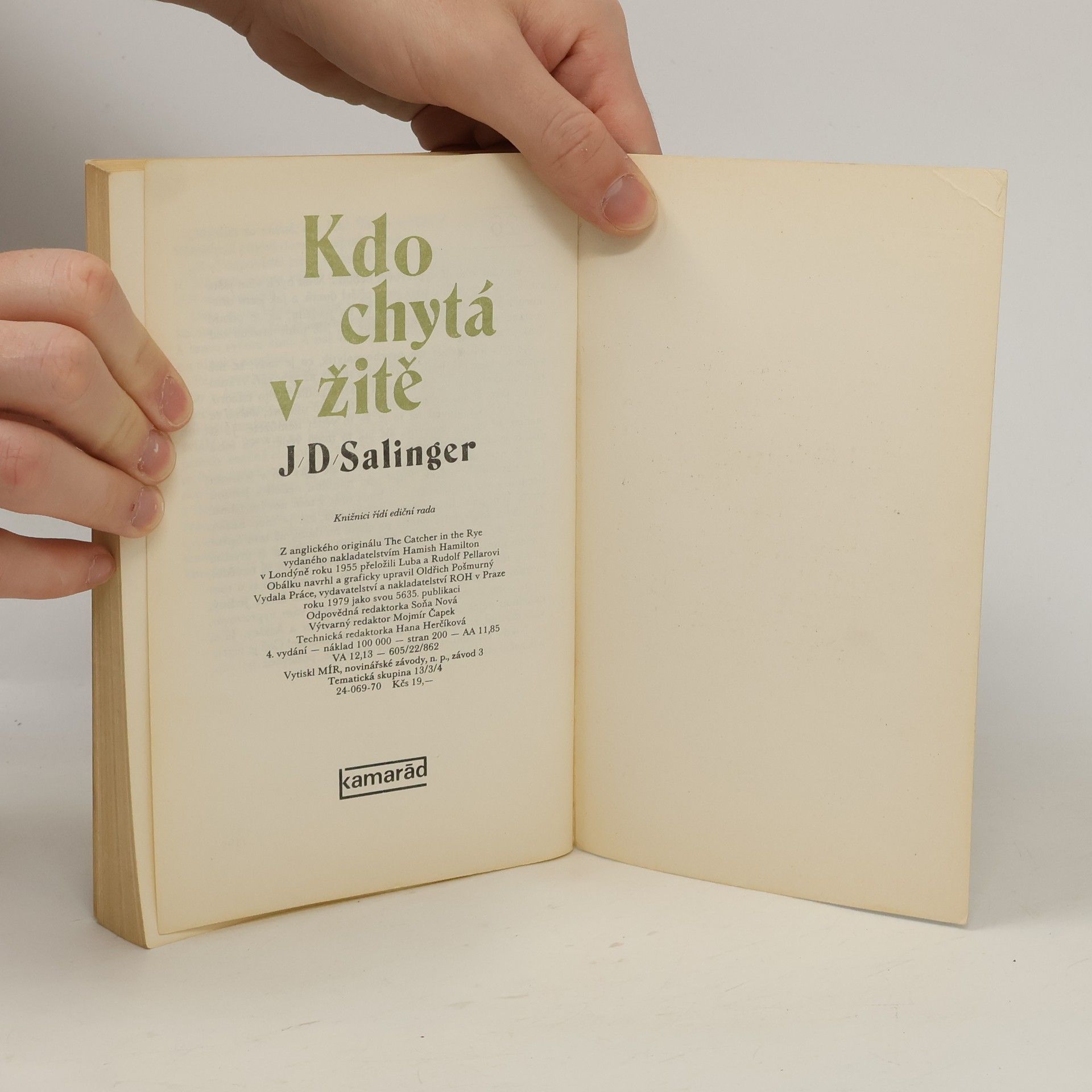 J. D. Salinger Kdo chytá v žitě