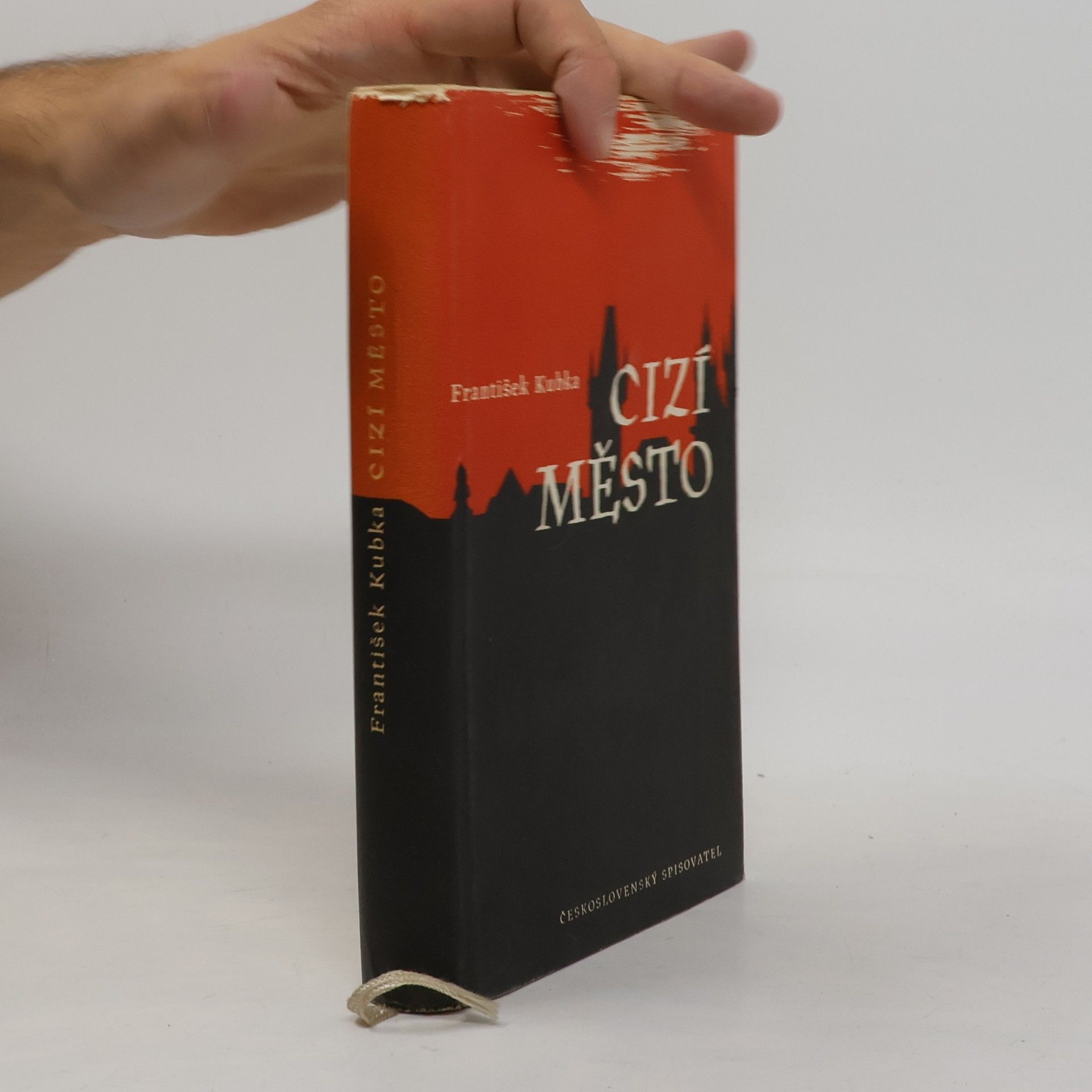 František Kubka Cizí město