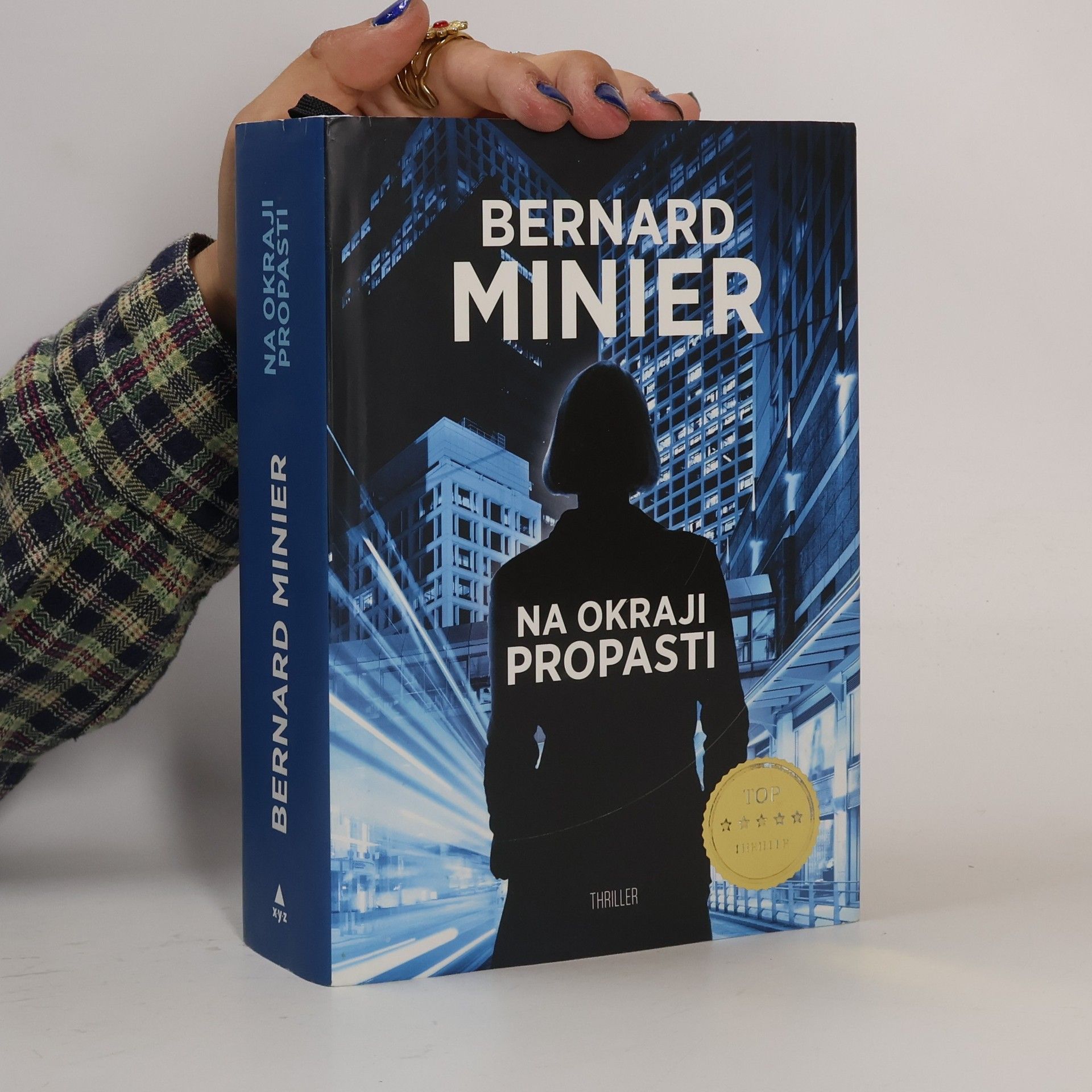 Bernard Minier Na okraji propasti