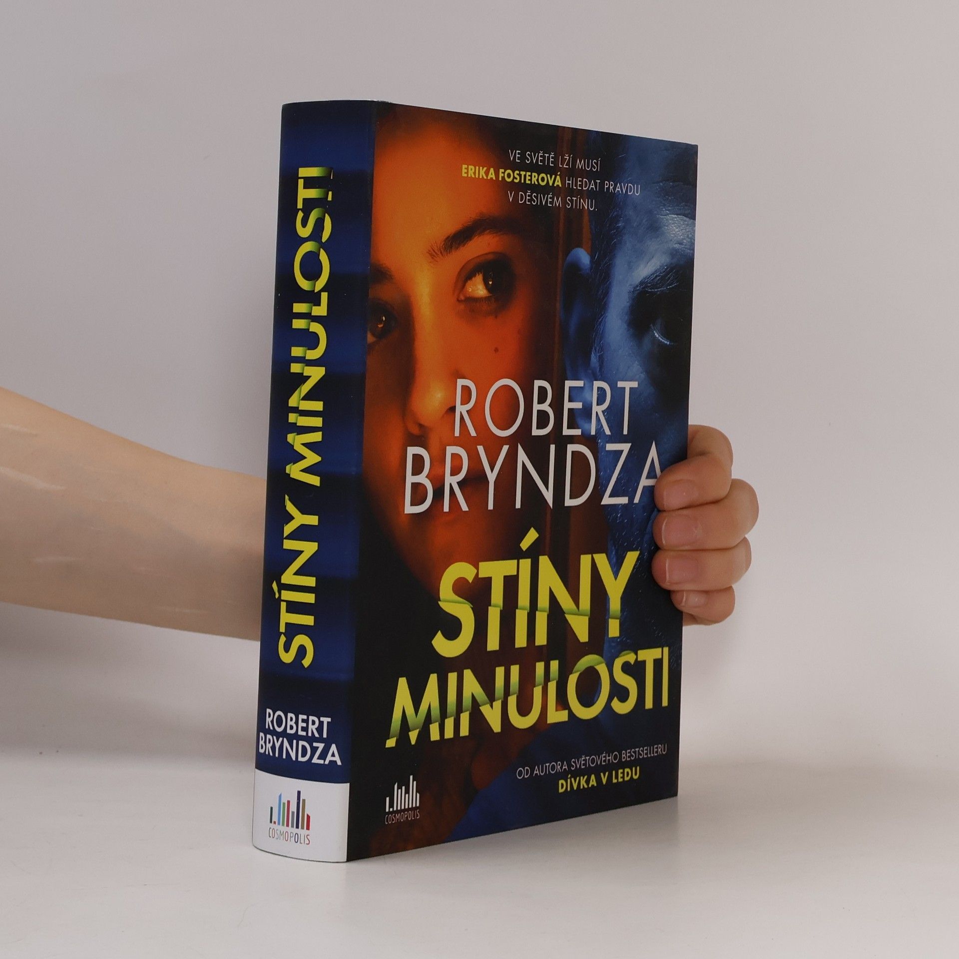 Robert Bryndza Stíny minulosti